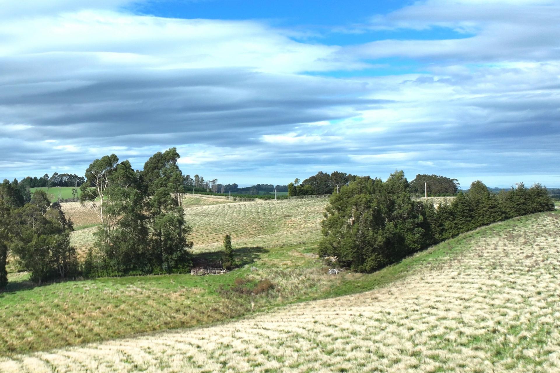 174 McCulloch Road, Awamangu