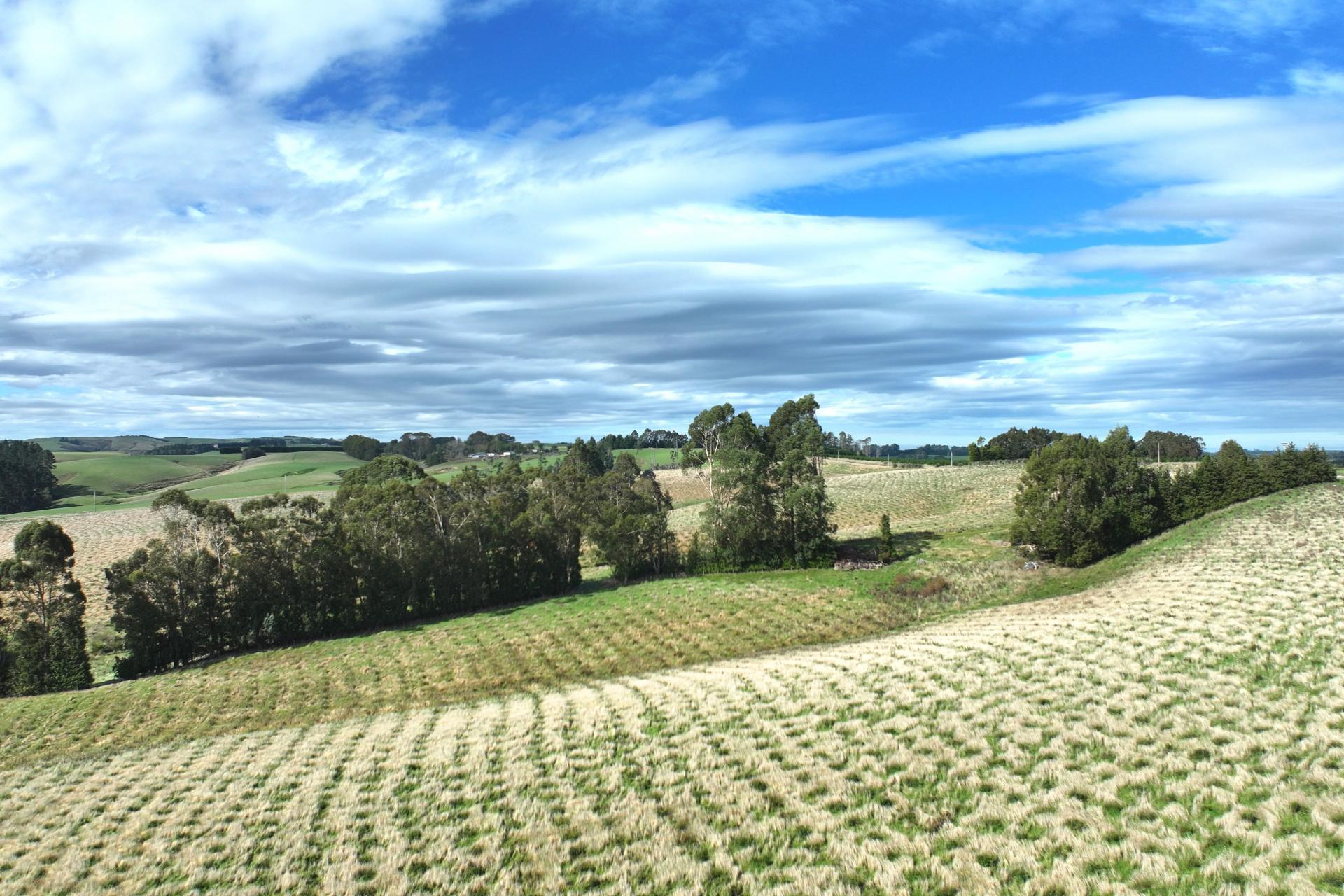 174 McCulloch Road, Awamangu