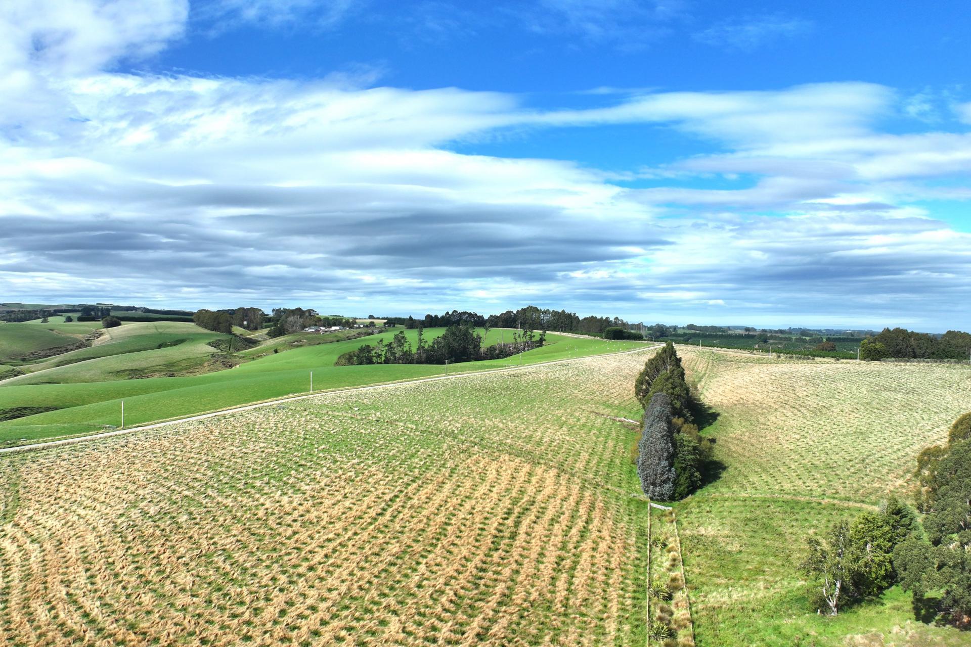 174 McCulloch Road, Awamangu