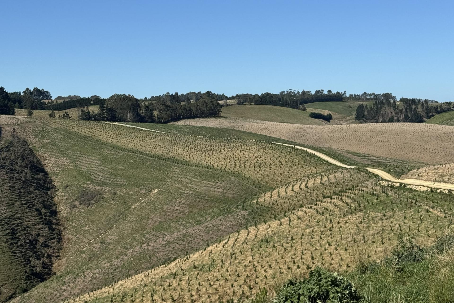 174 McCulloch Road, Awamangu