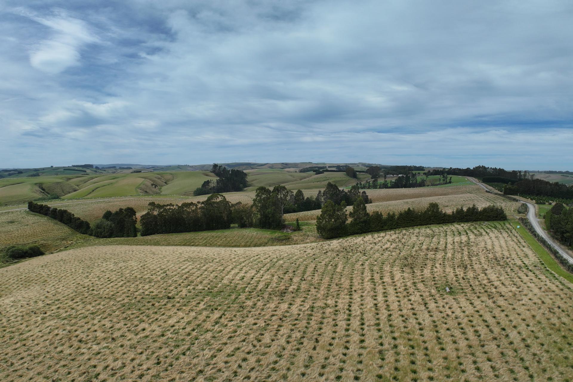 174 McCulloch Road, Awamangu