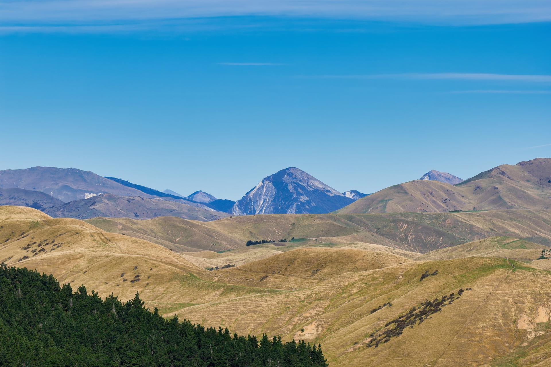 Corner Marfells Beach and Clifford Roads, Lake Grassmere