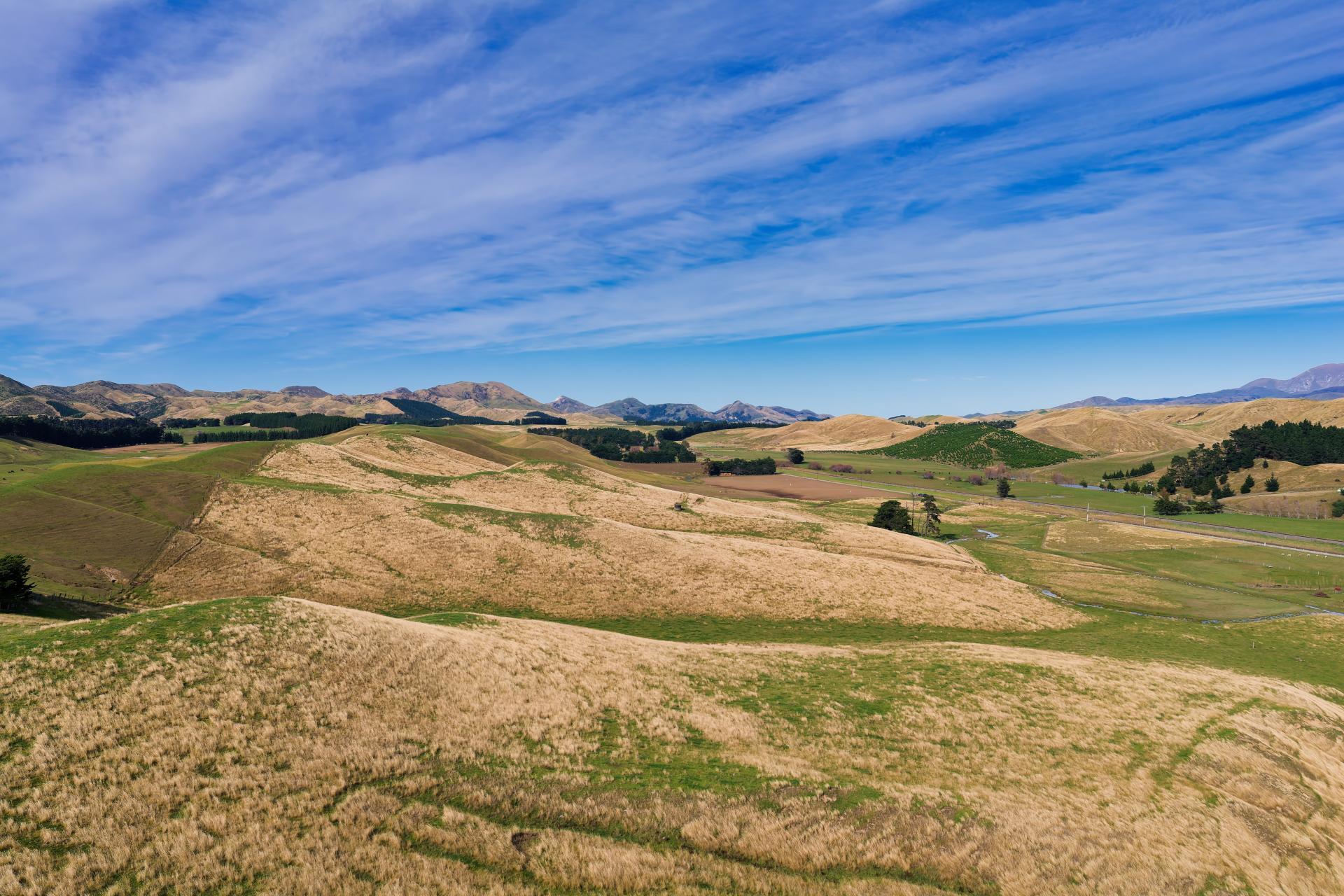Corner Marfells Beach and Clifford Roads, Lake Grassmere