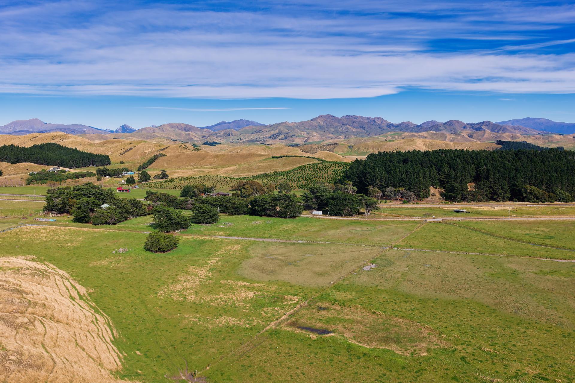 Corner Marfells Beach and Clifford Roads, Lake Grassmere