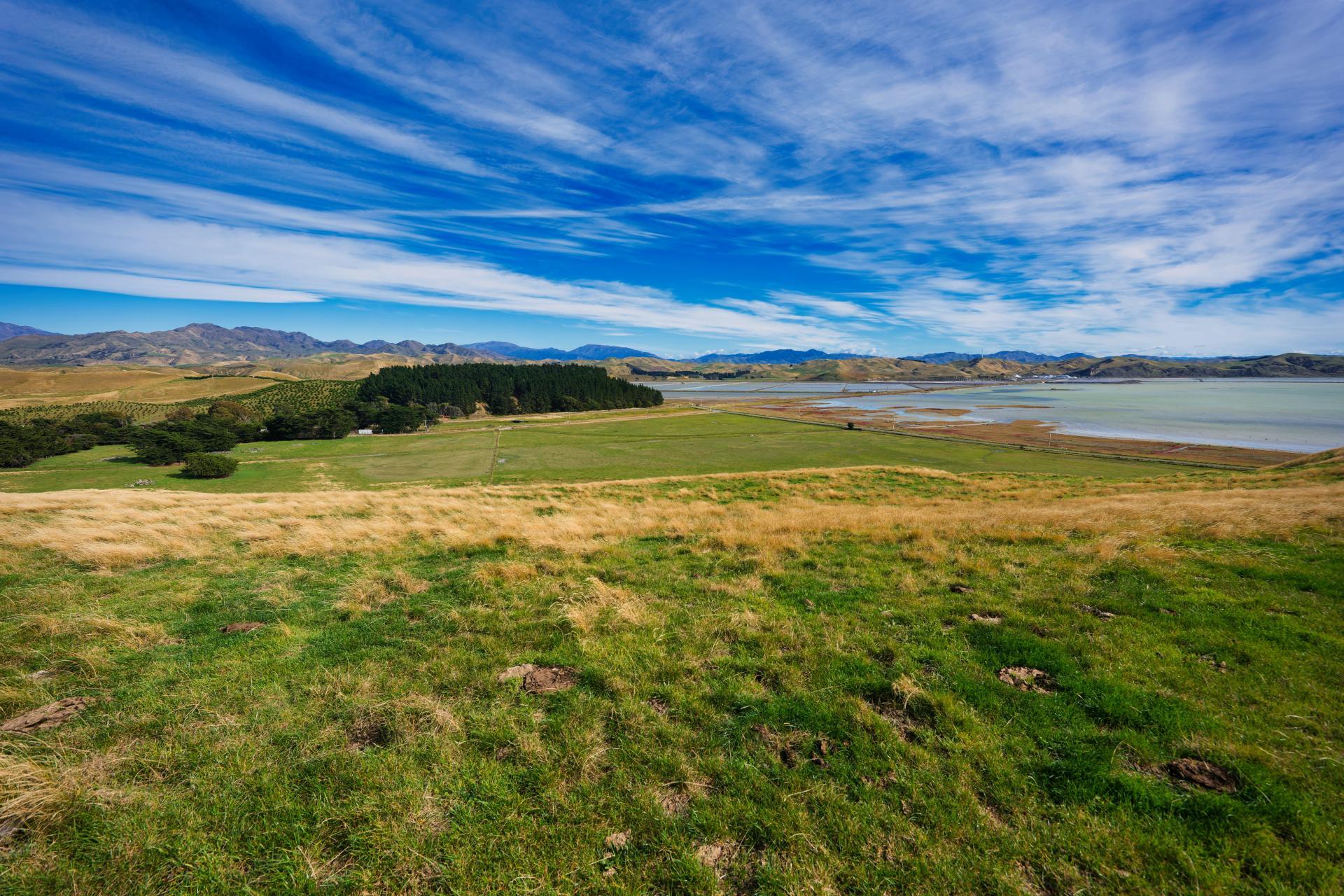 Corner Marfells Beach and Clifford Roads, Lake Grassmere