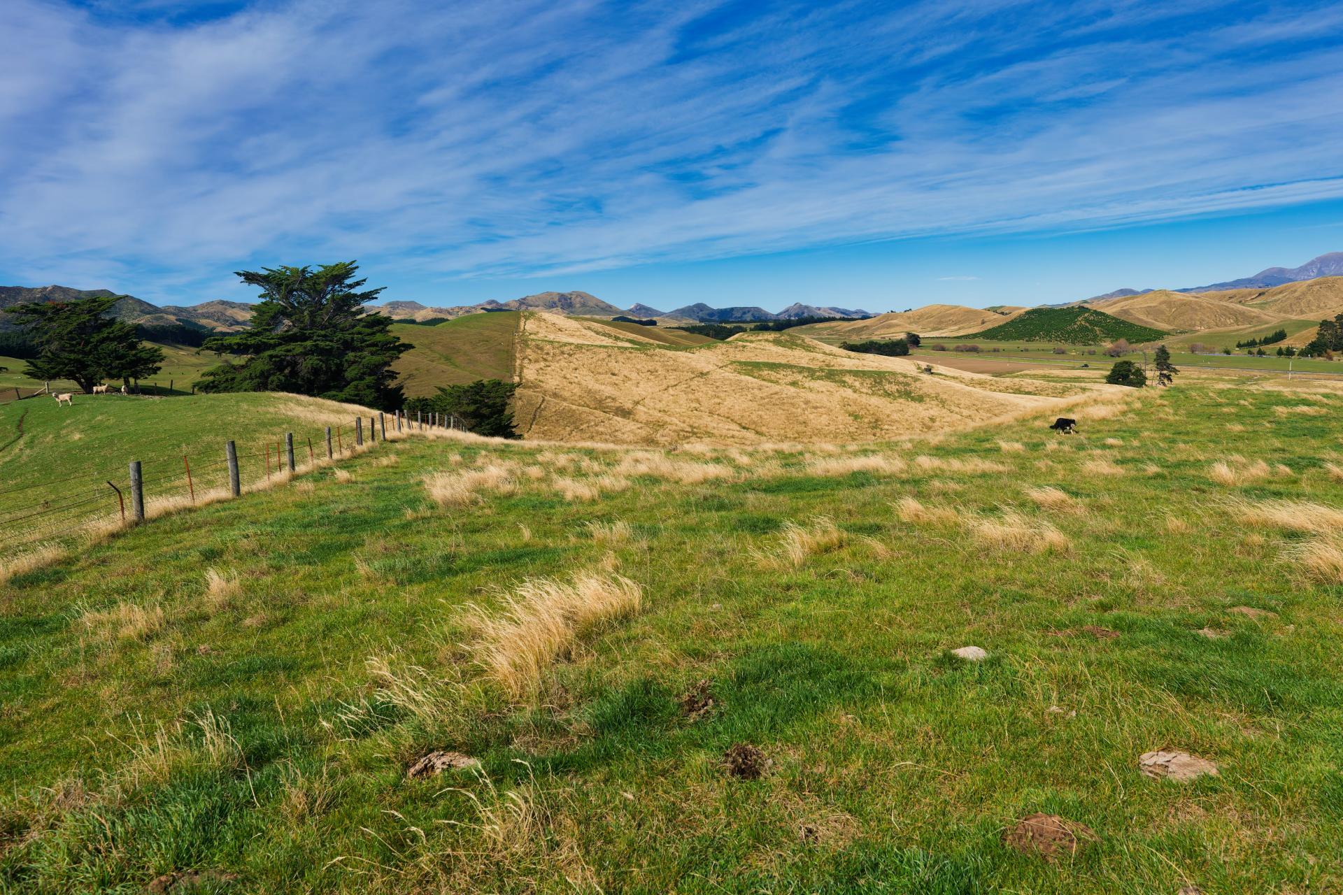 Corner Marfells Beach and Clifford Roads, Lake Grassmere