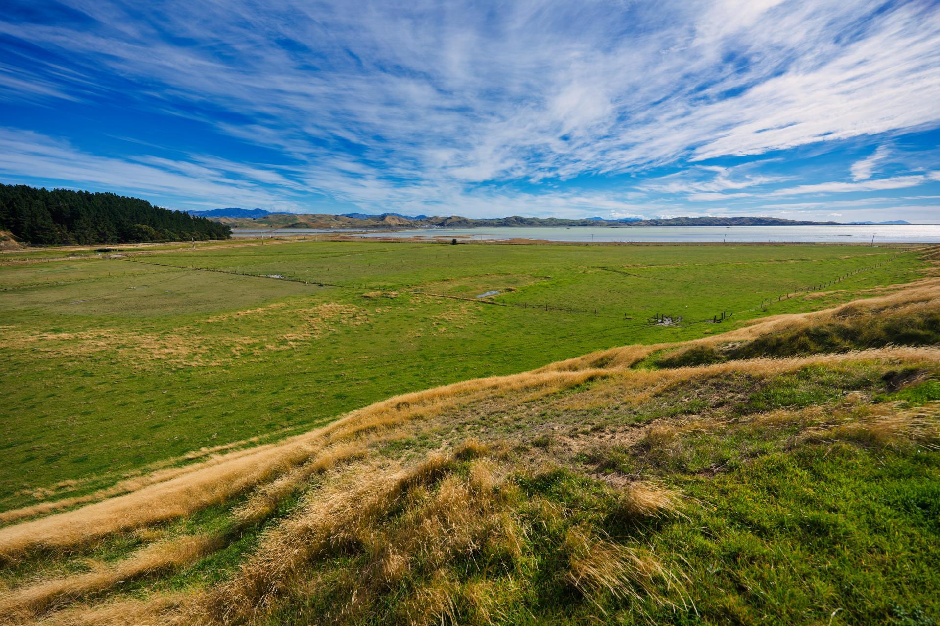 Corner Marfells Beach and Clifford Roads, Lake Grassmere
