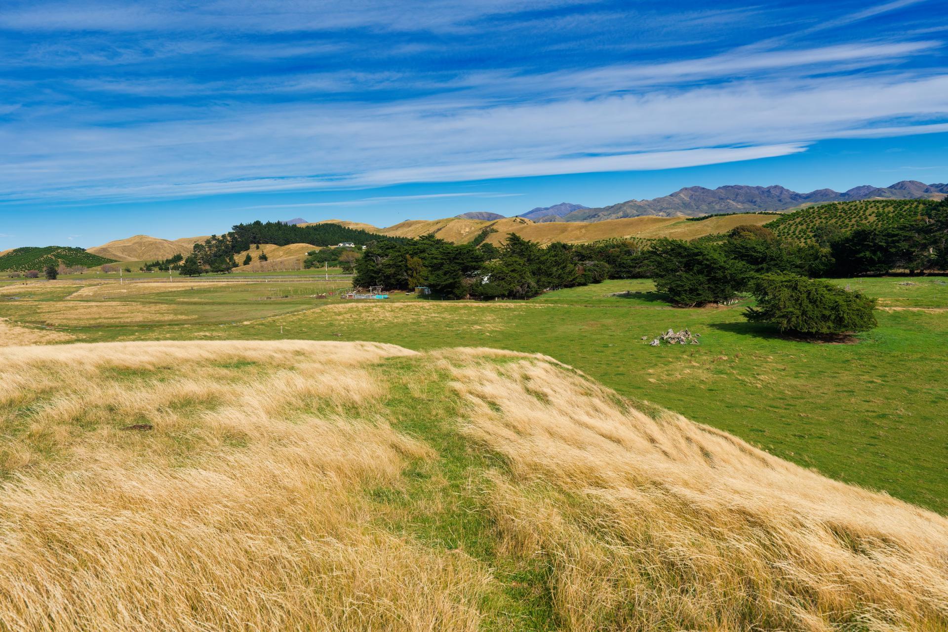 Corner Marfells Beach and Clifford Roads, Lake Grassmere