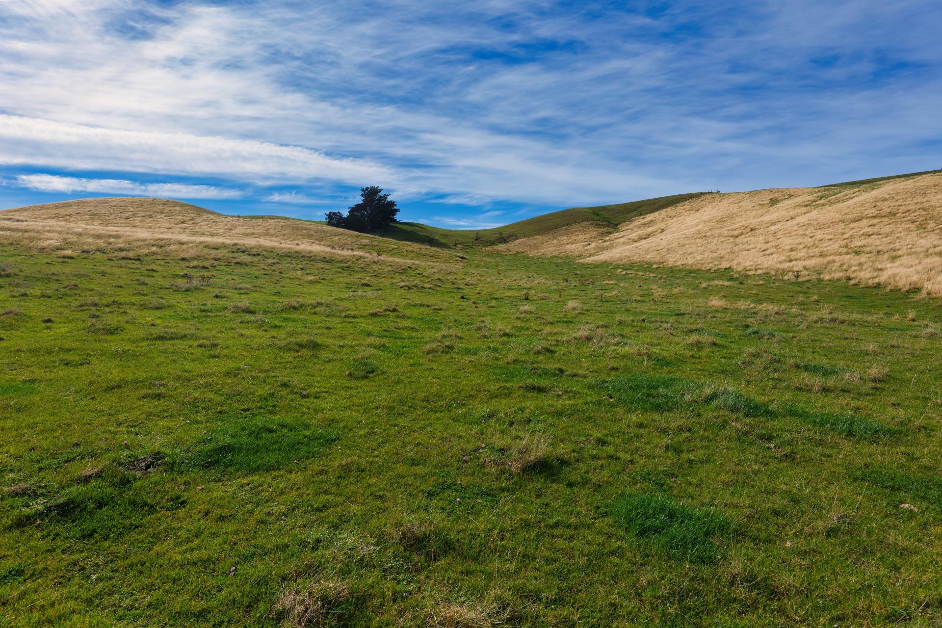 Corner Marfells Beach and Clifford Roads, Lake Grassmere