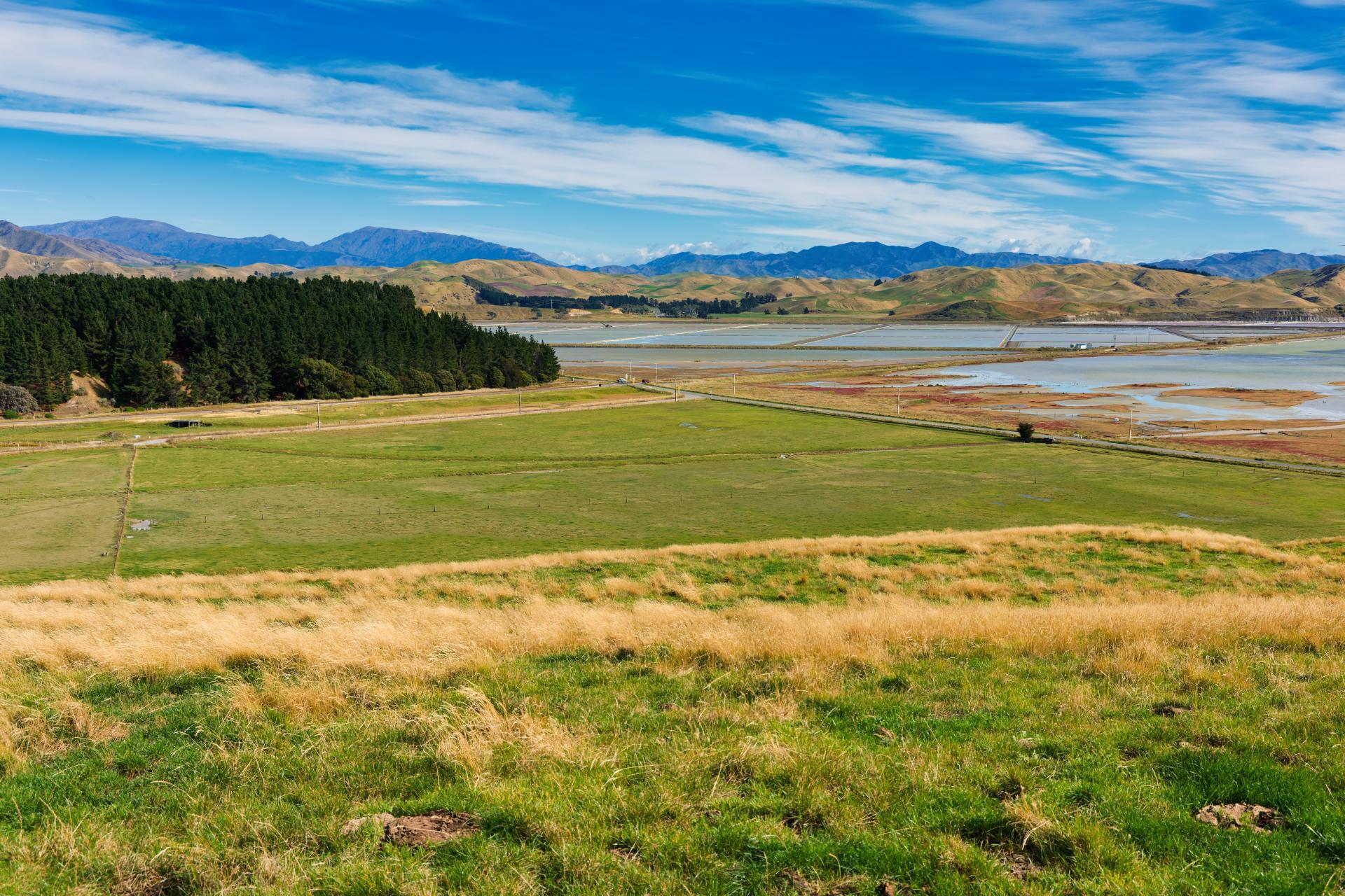 Corner Marfells Beach and Clifford Roads, Lake Grassmere