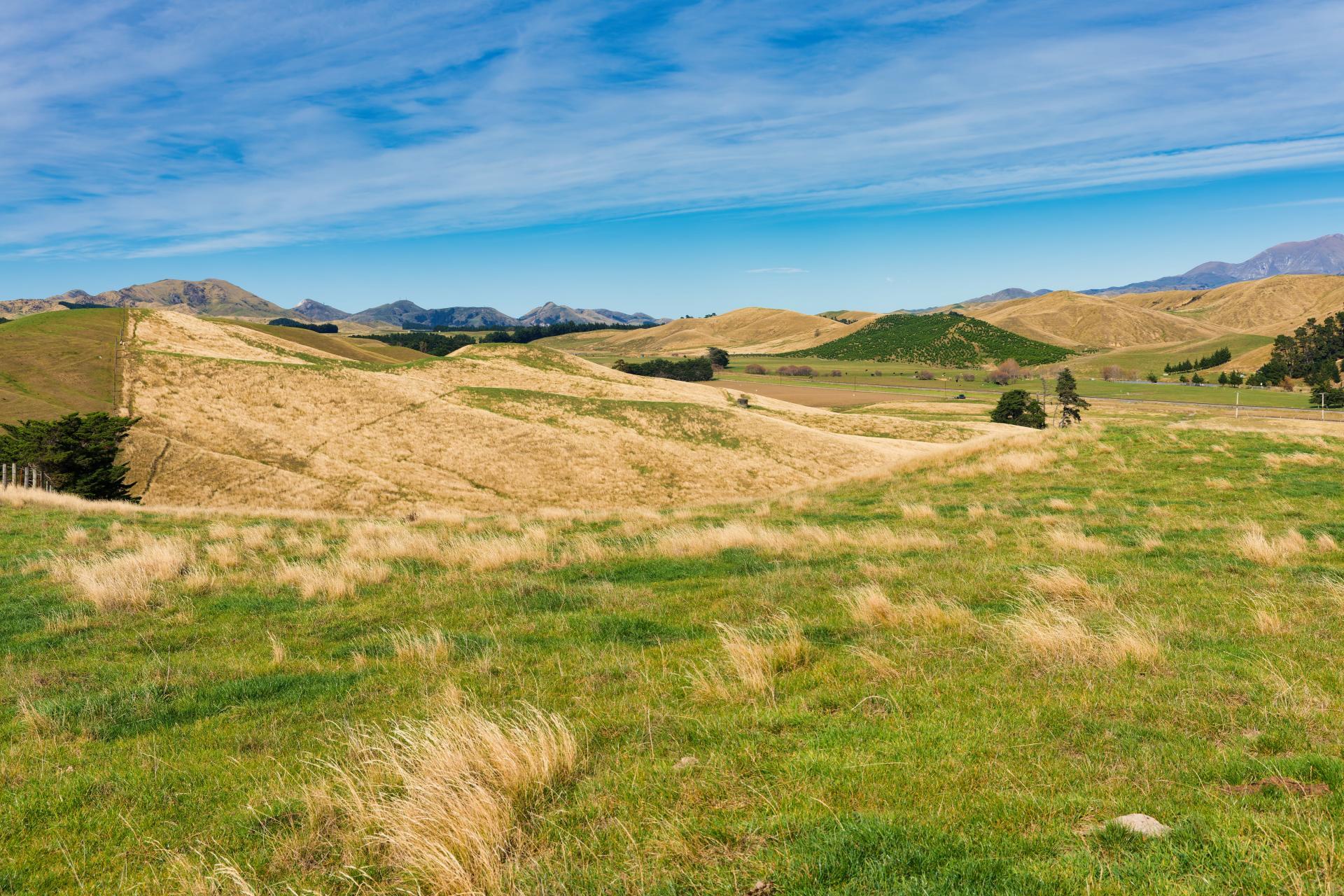 Corner Marfells Beach and Clifford Roads, Lake Grassmere