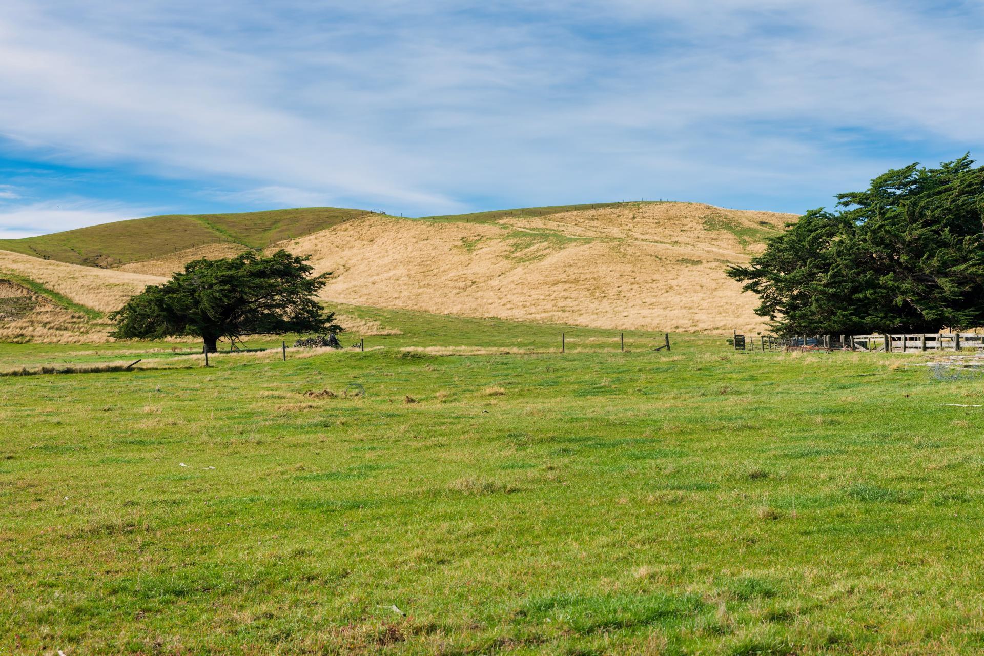 Corner Marfells Beach and Clifford Roads, Lake Grassmere