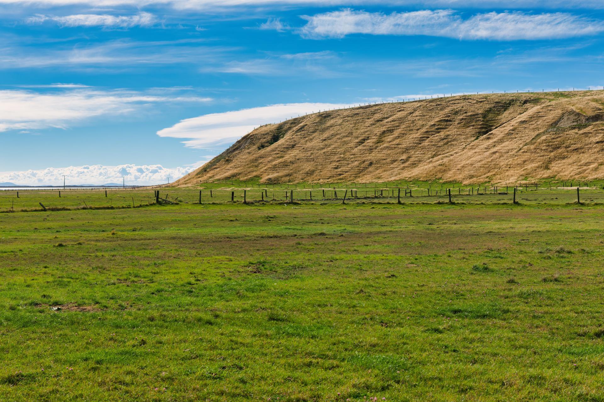 Corner Marfells Beach and Clifford Roads, Lake Grassmere