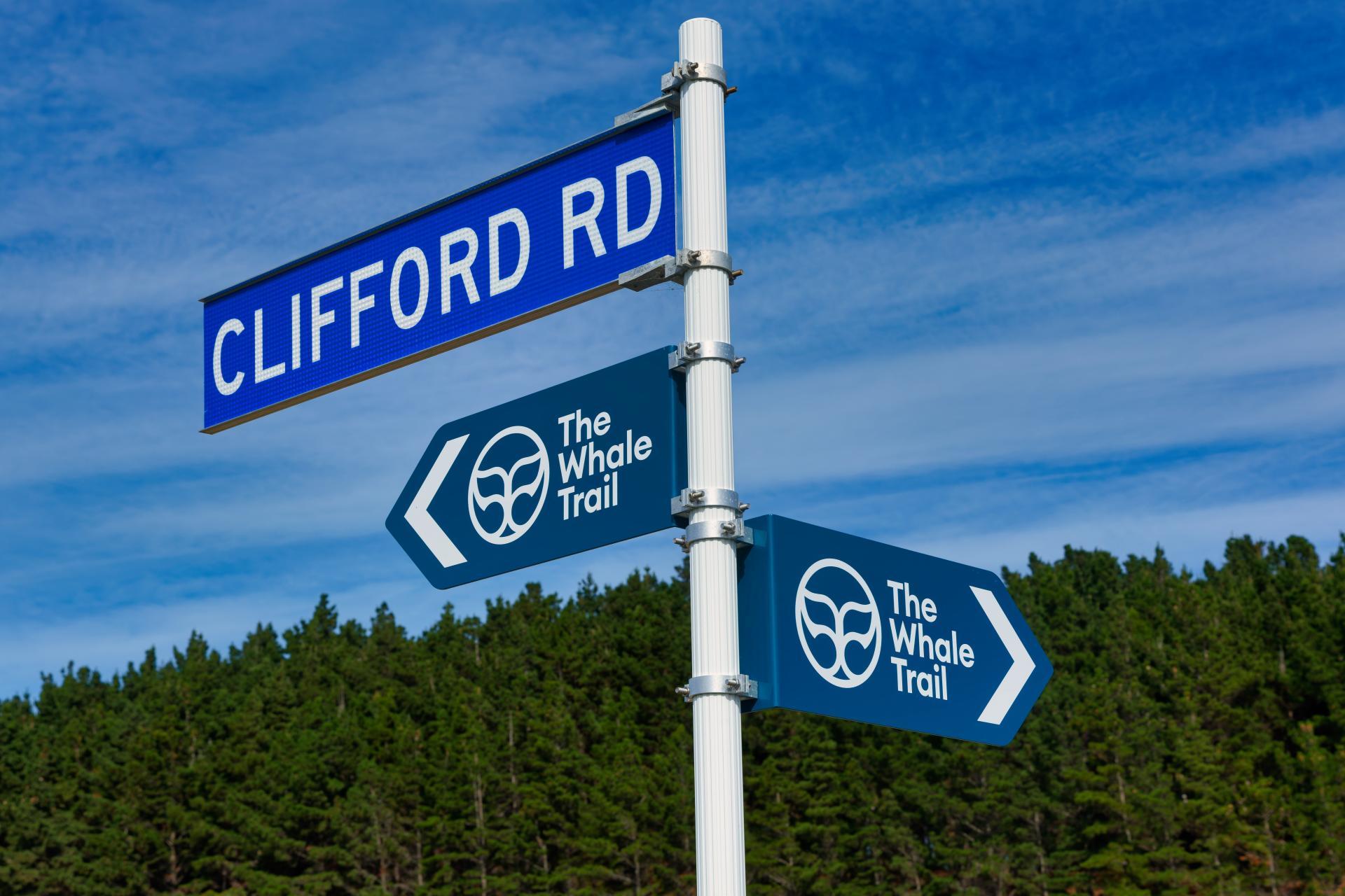 Corner Marfells Beach and Clifford Roads, Lake Grassmere