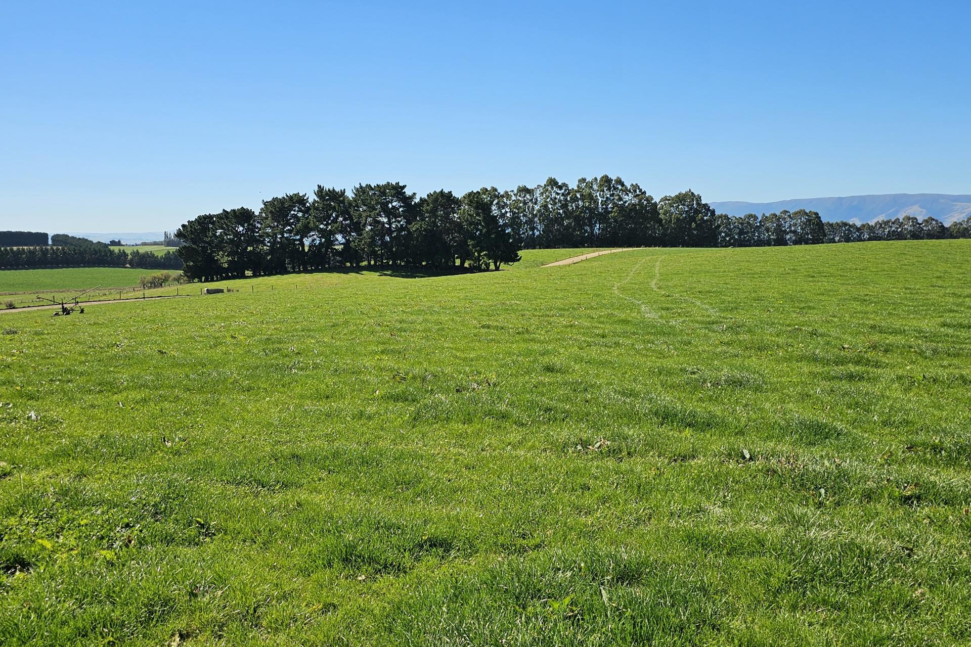 465 Adam Fleming Road, Crossans Corner