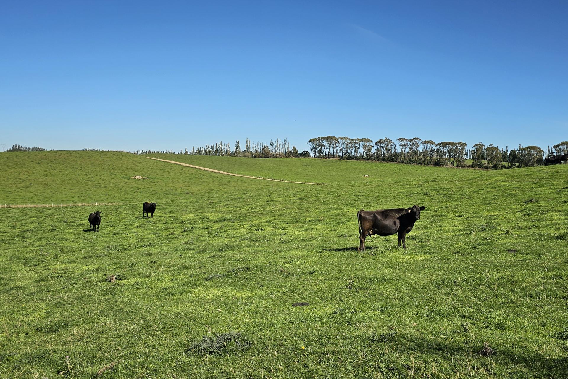 465 Adam Fleming Road, Crossans Corner