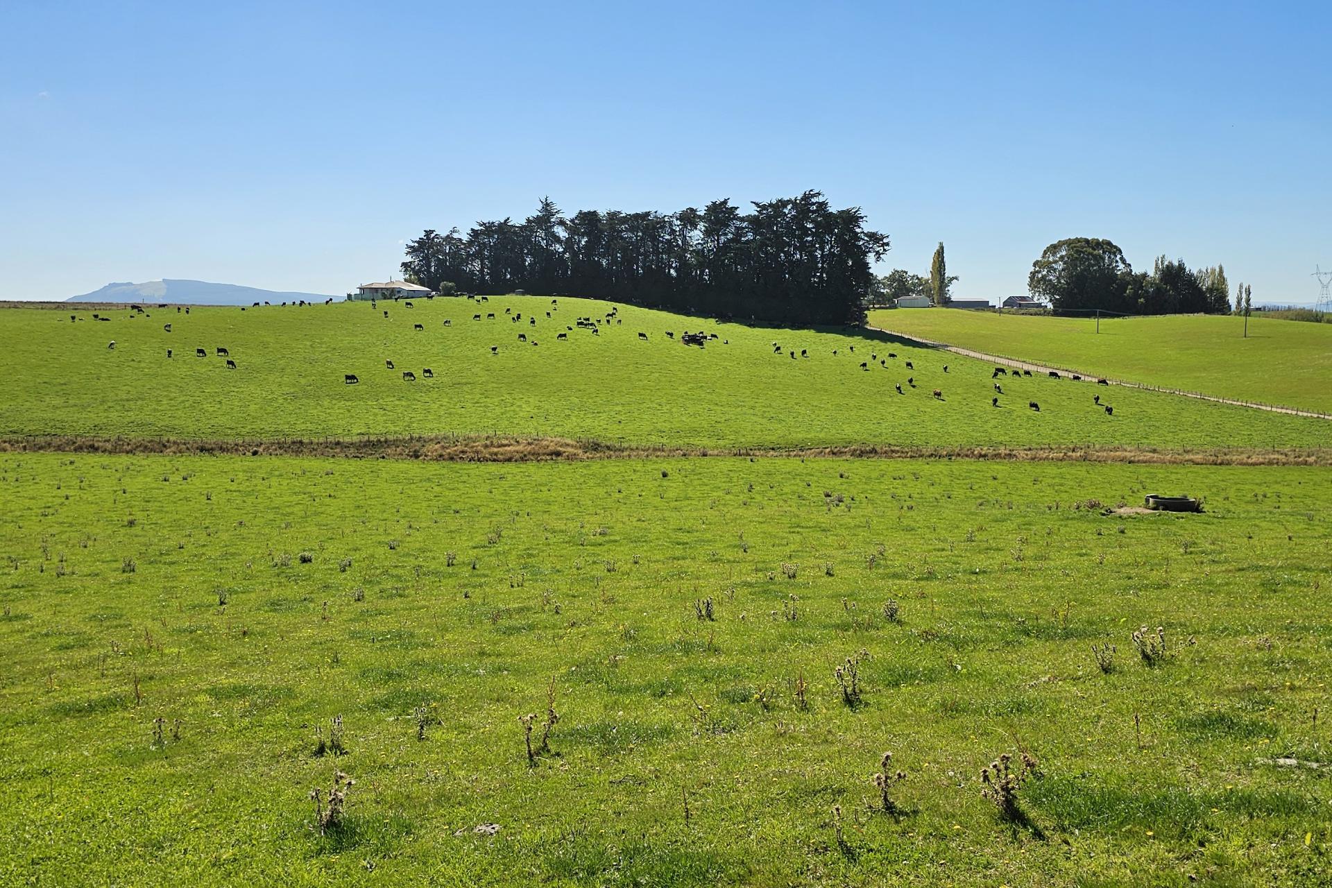 465 Adam Fleming Road, Crossans Corner