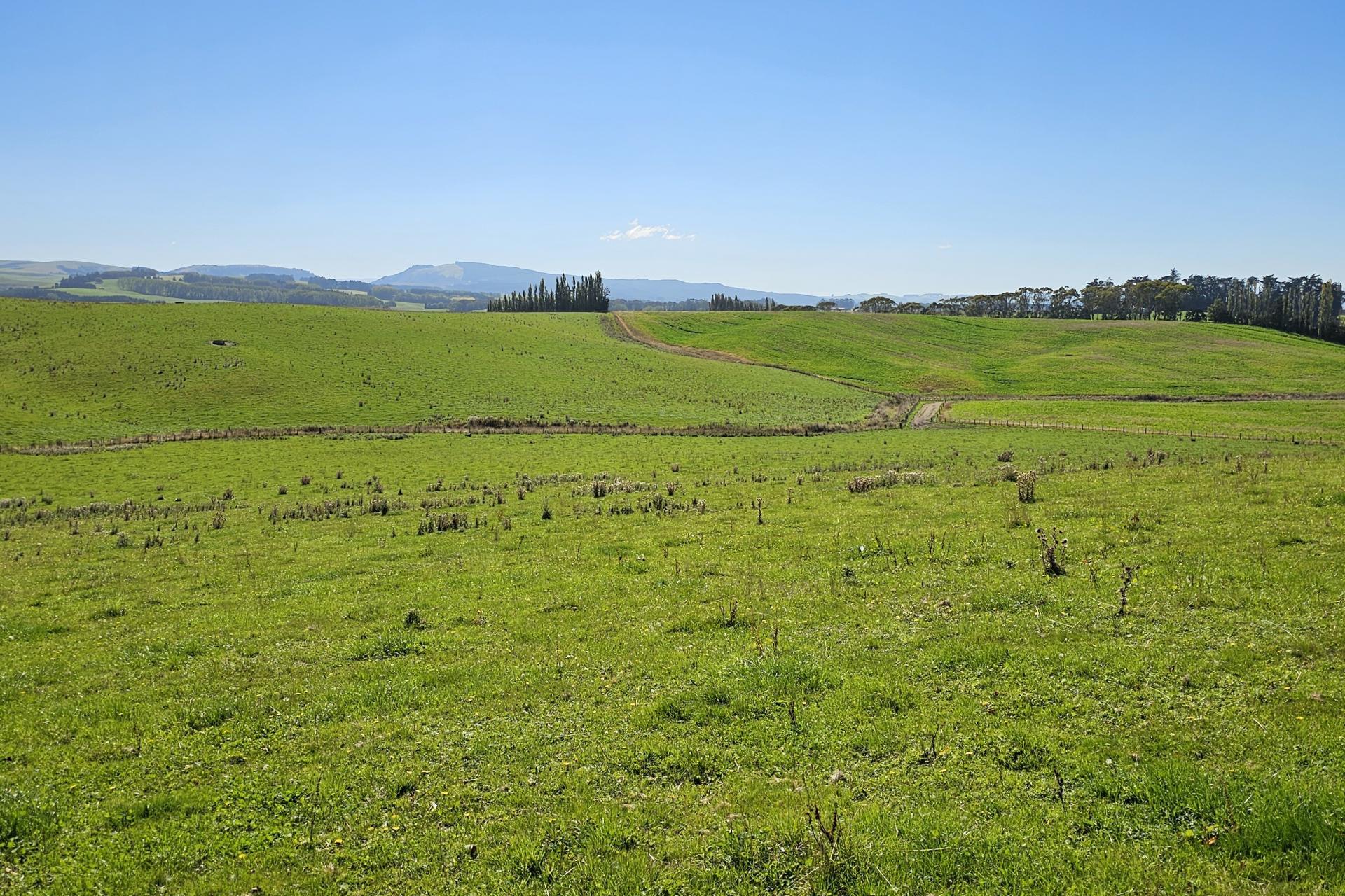 465 Adam Fleming Road, Crossans Corner