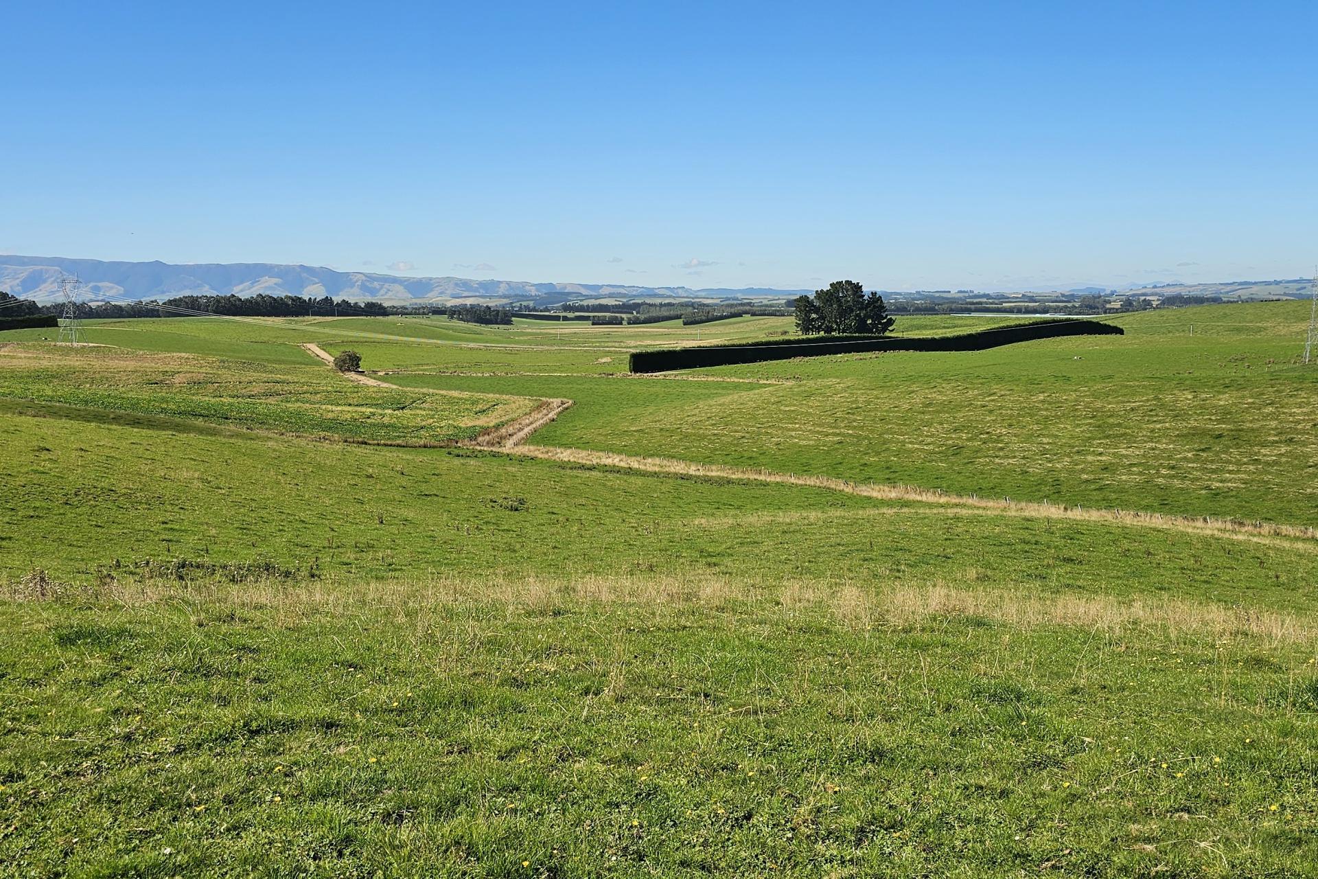 465 Adam Fleming Road, Crossans Corner