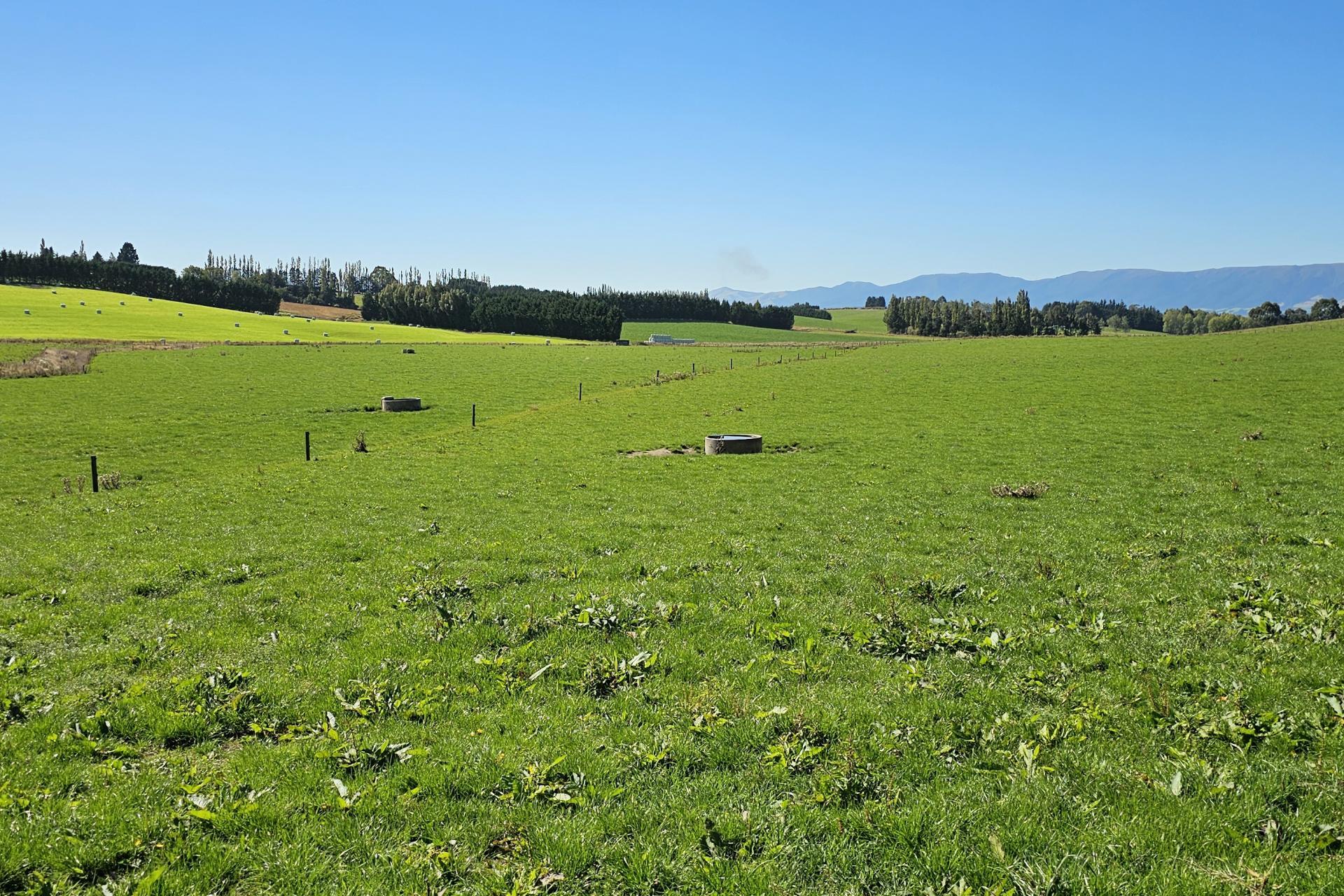 465 Adam Fleming Road, Crossans Corner