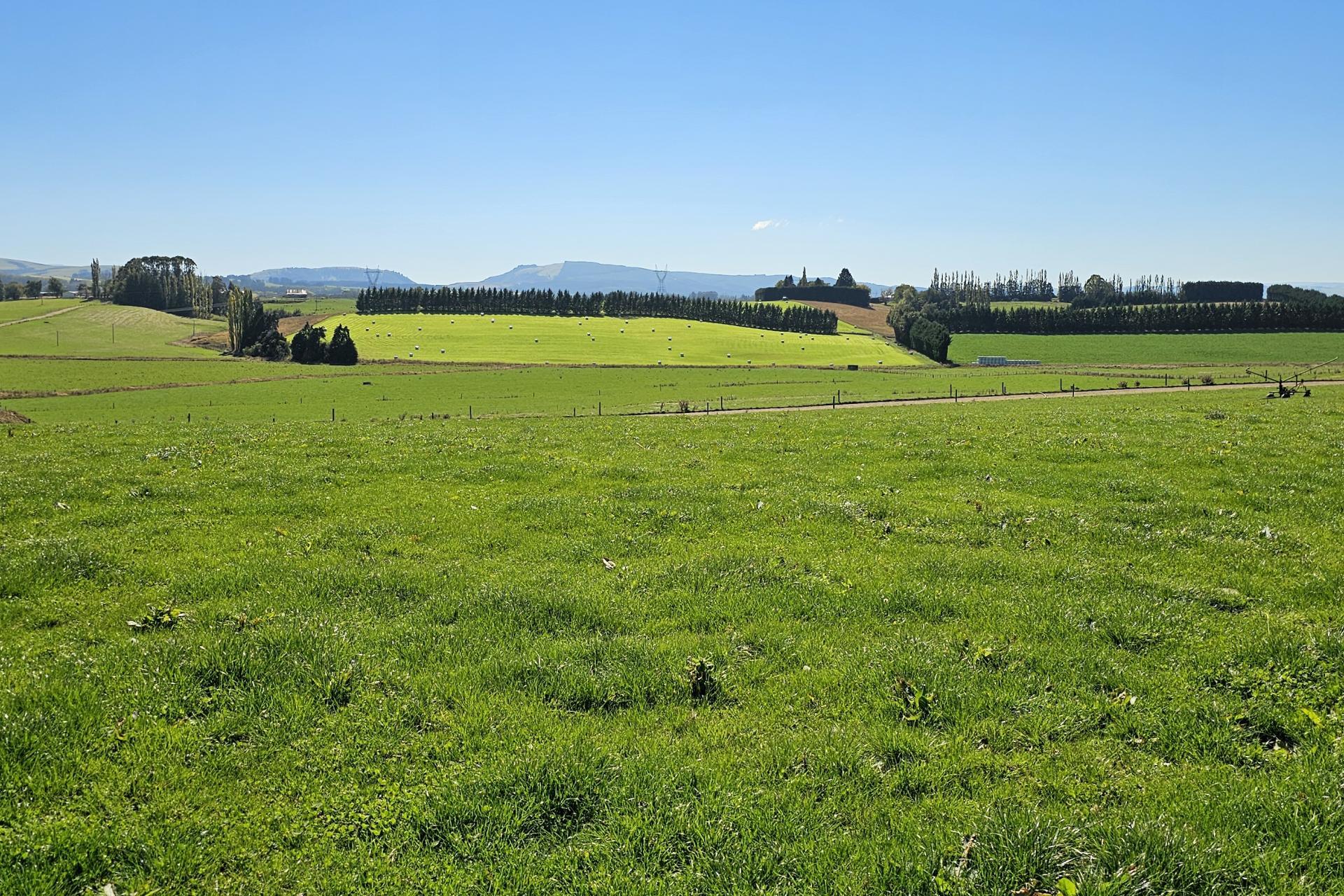 465 Adam Fleming Road, Crossans Corner