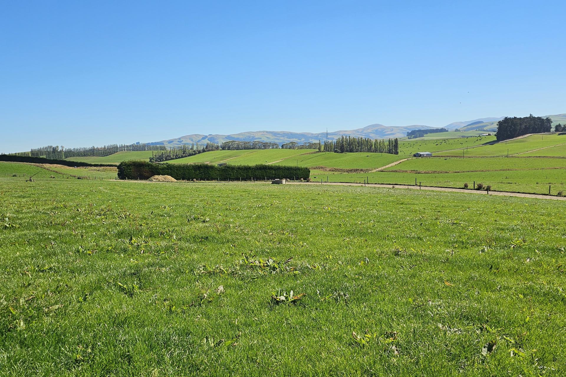 465 Adam Fleming Road, Crossans Corner