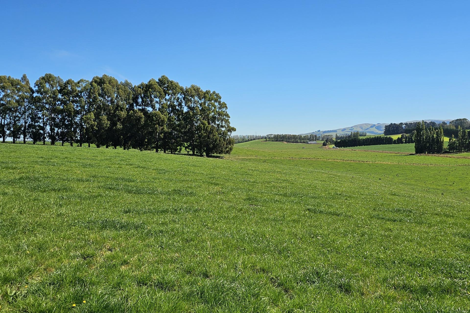 465 Adam Fleming Road, Crossans Corner