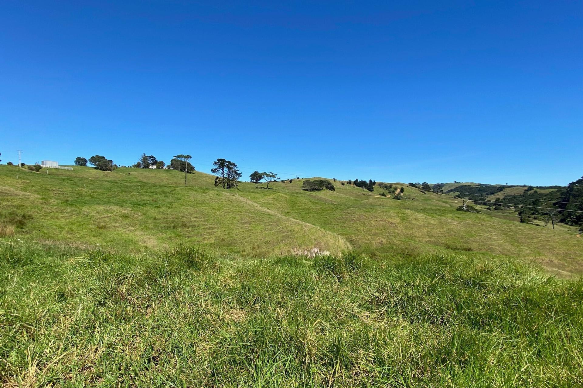 111 Hamlin Road, Pollok