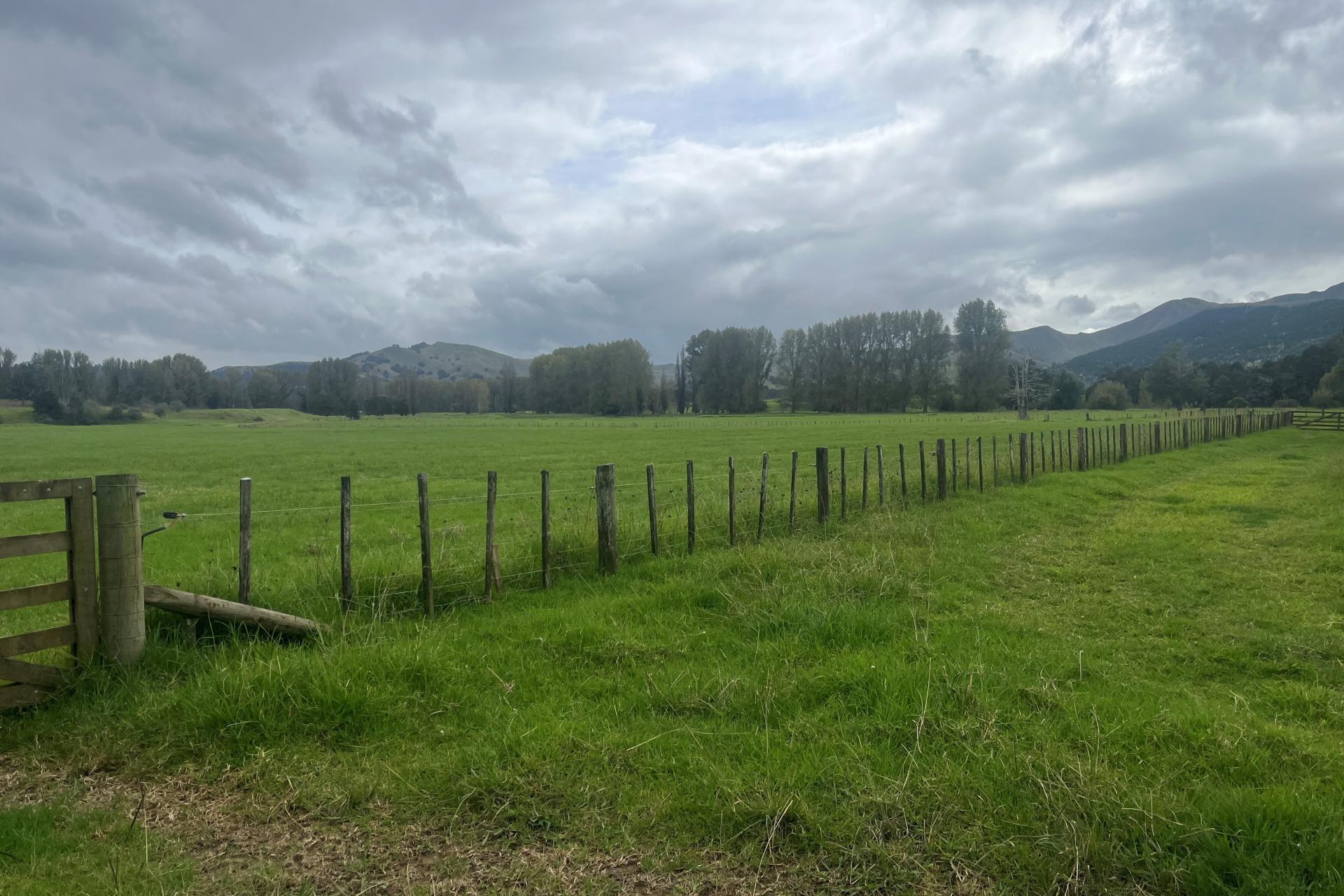 3567 Mangakahia Road, Poroti