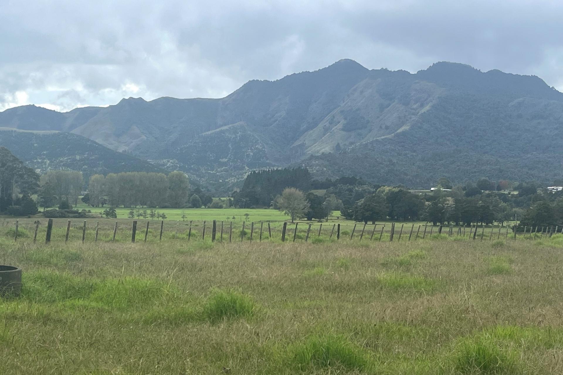 3567 Mangakahia Road, Poroti