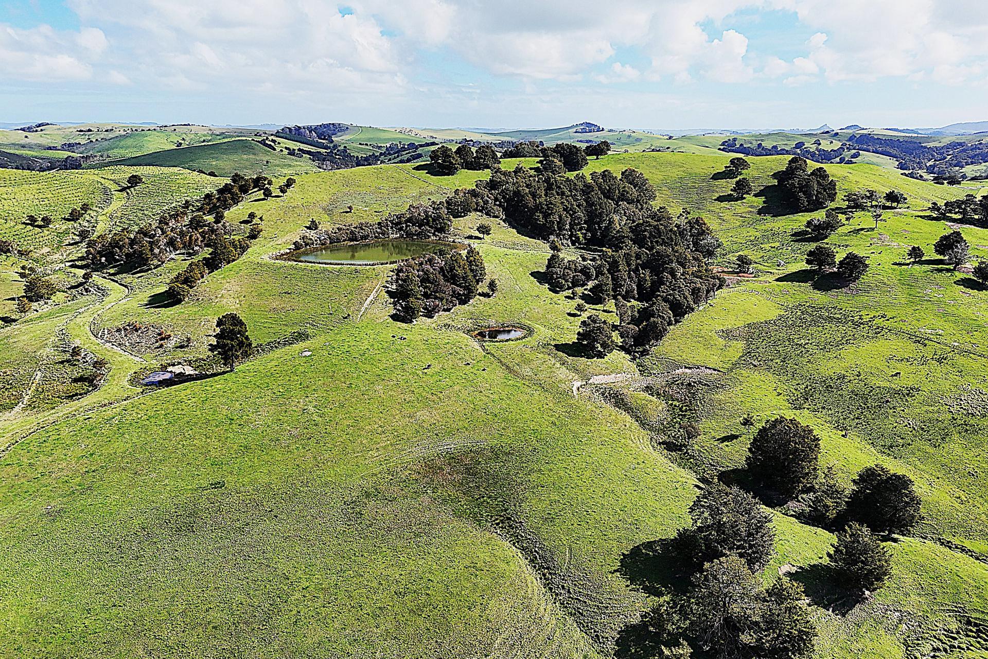 435 Parahi Road, Ruawai