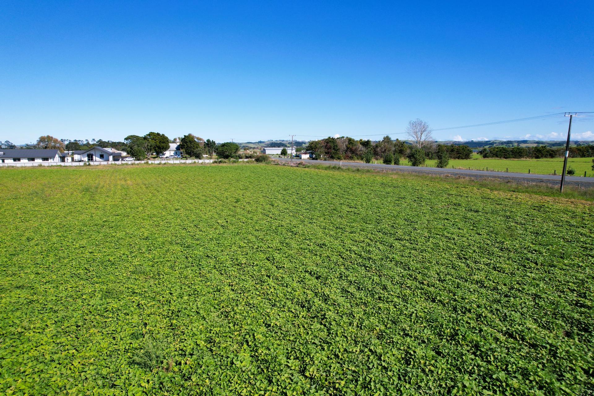 State Highway 12, Ruawai