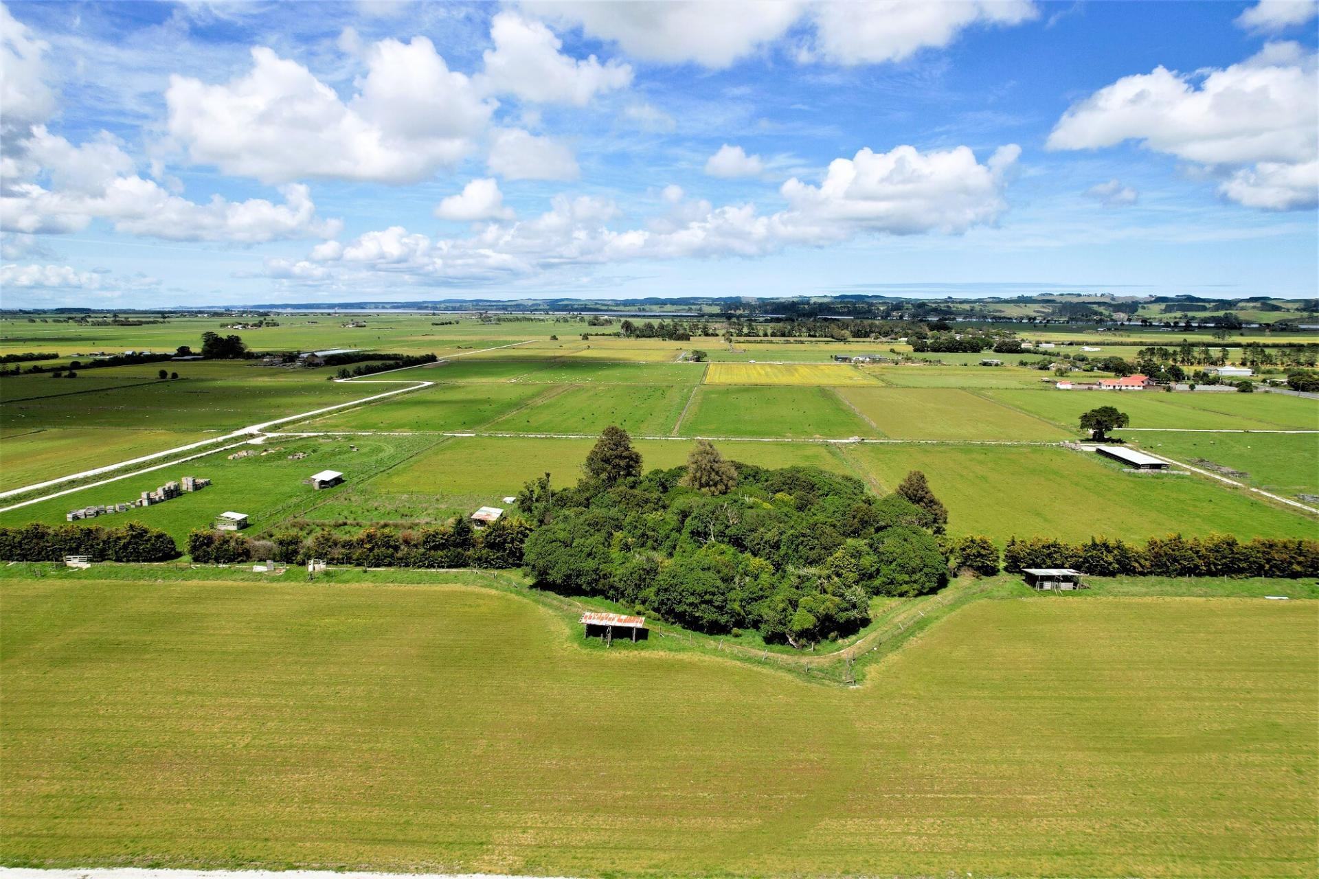Tramline Road, Ruawai