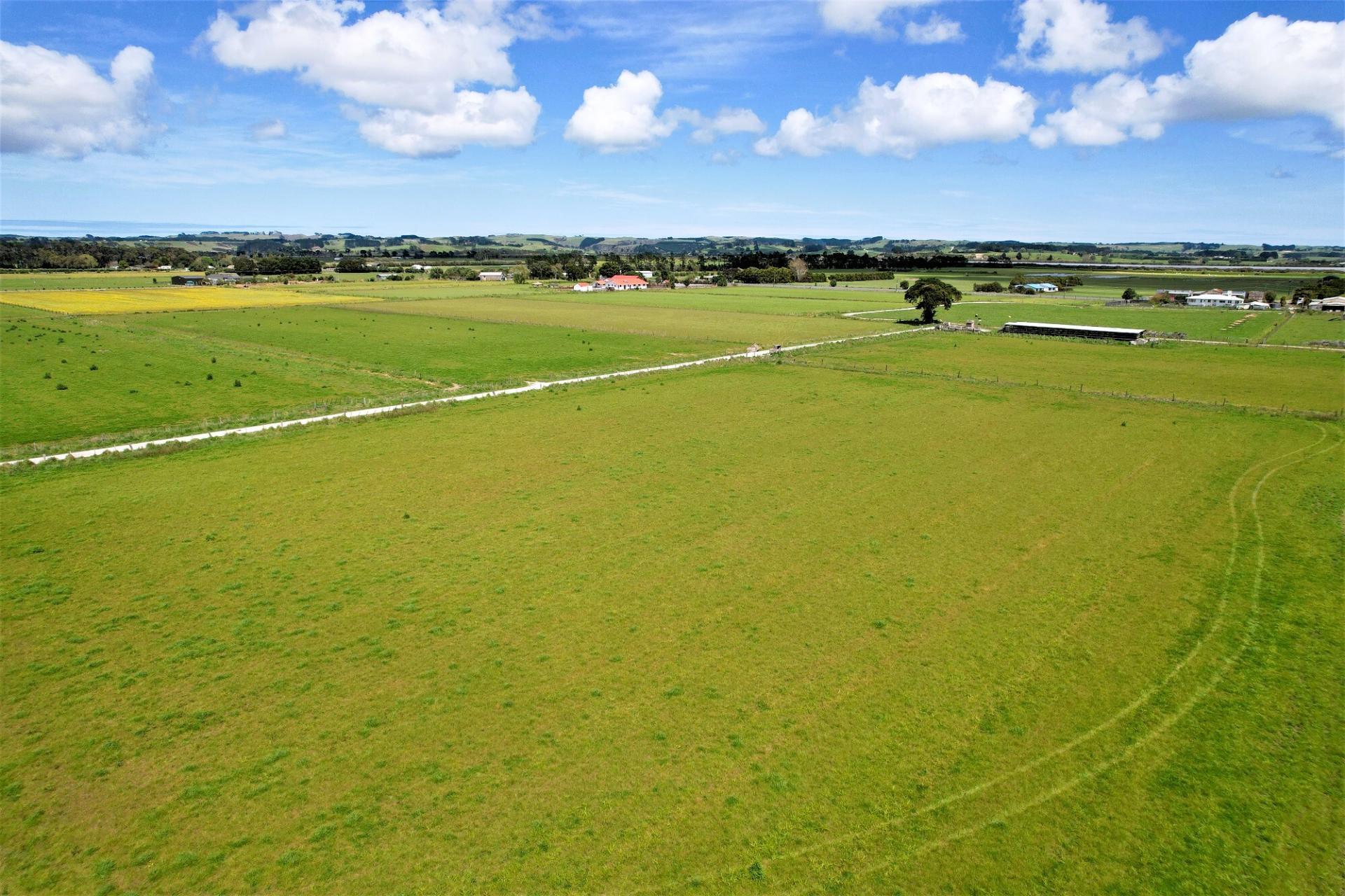 Tramline Road, Ruawai