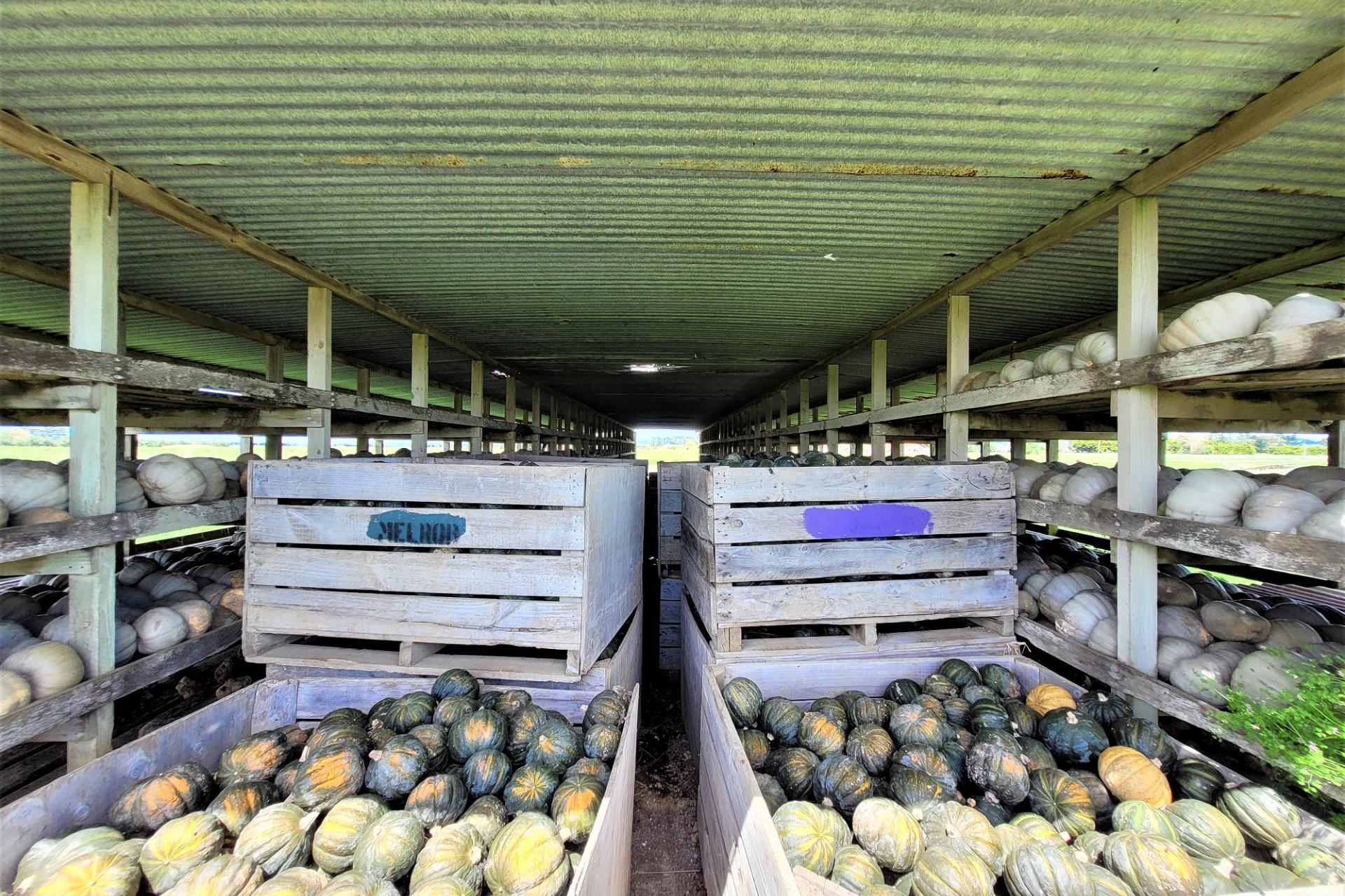 Tramline Road, Ruawai