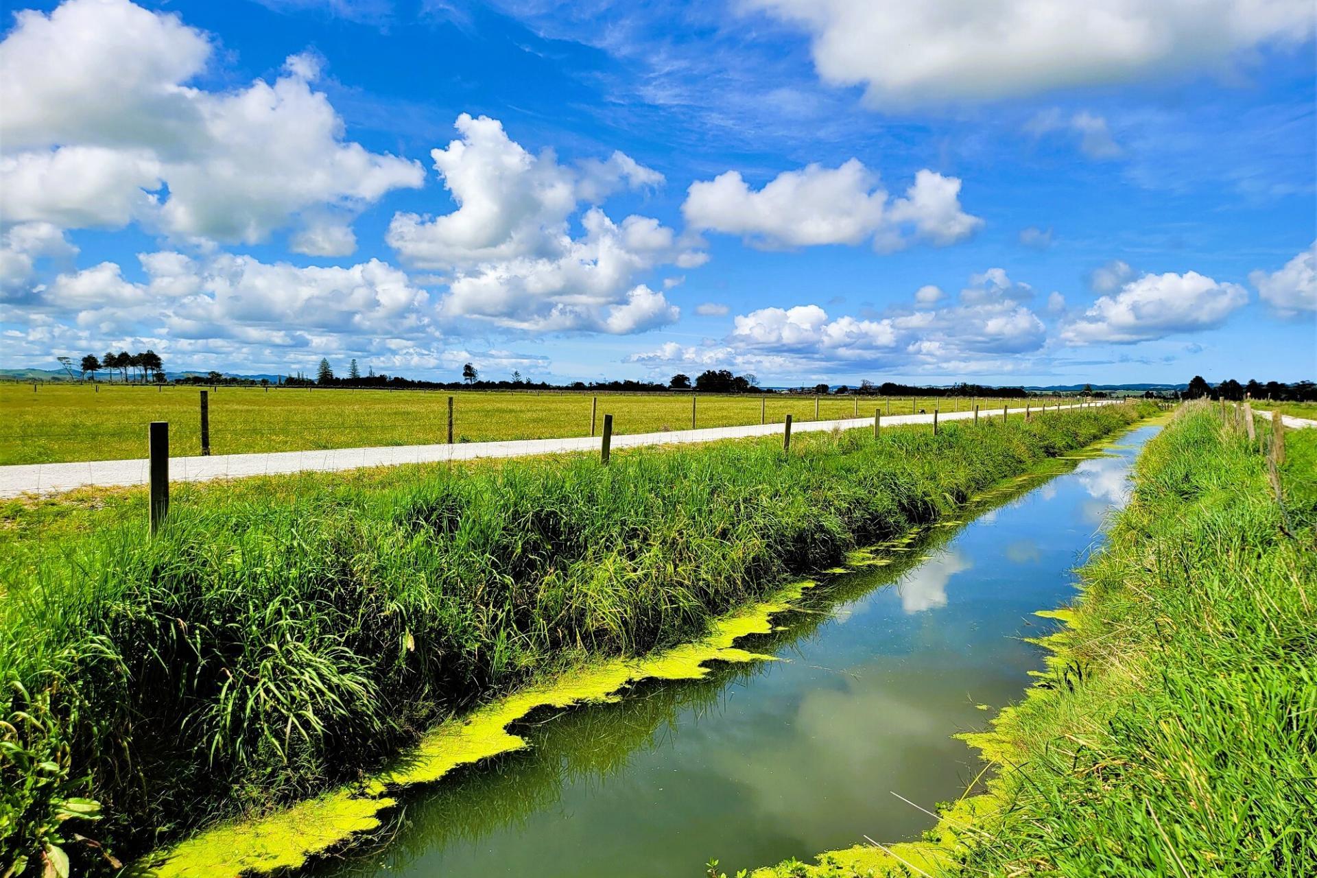 Tramline Road, Ruawai