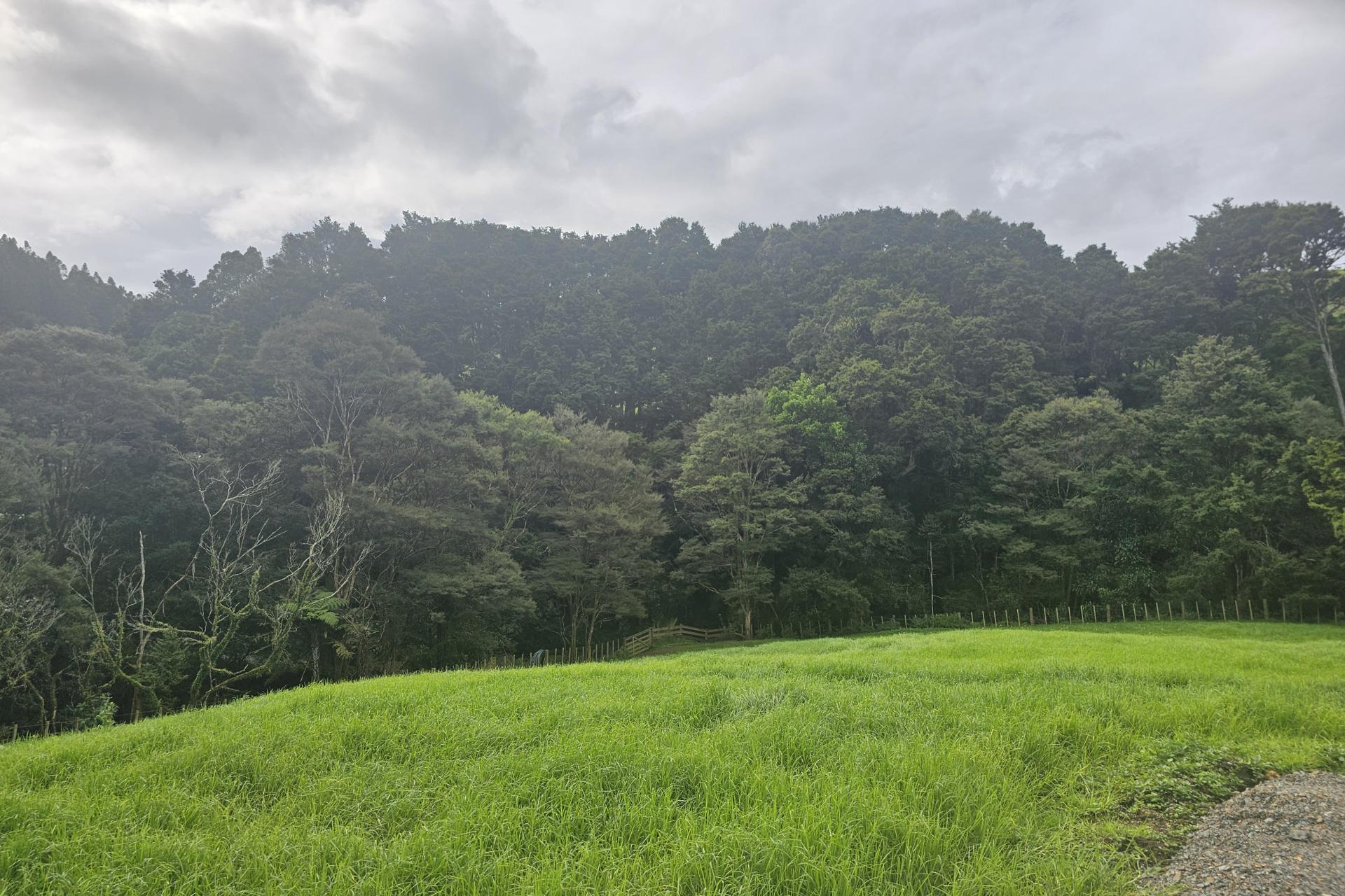 Lot 1, 675 Gorge Road, Maungaturoto