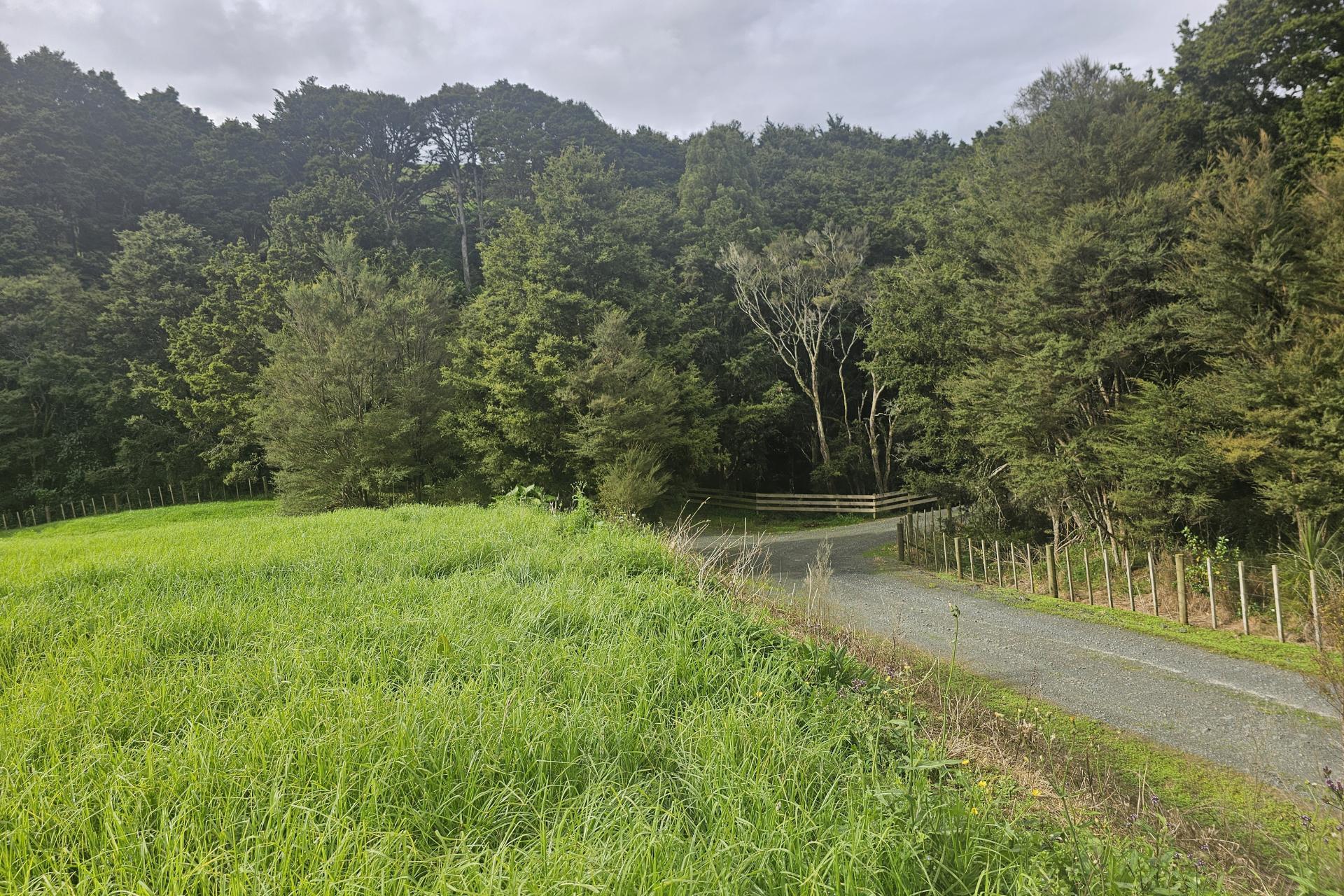Lot 1, 675 Gorge Road, Maungaturoto