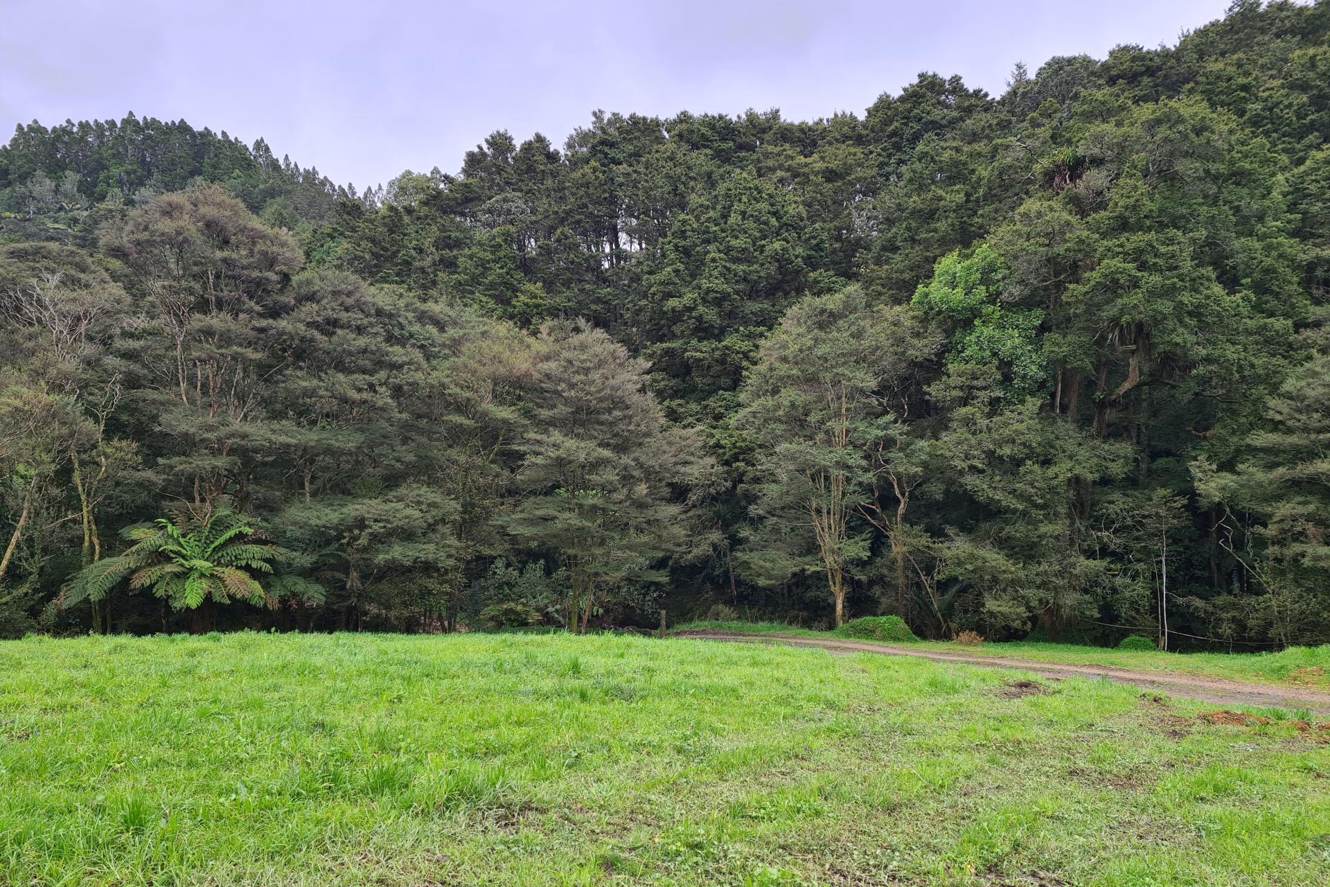 Lot 1, 675 Gorge Road, Maungaturoto