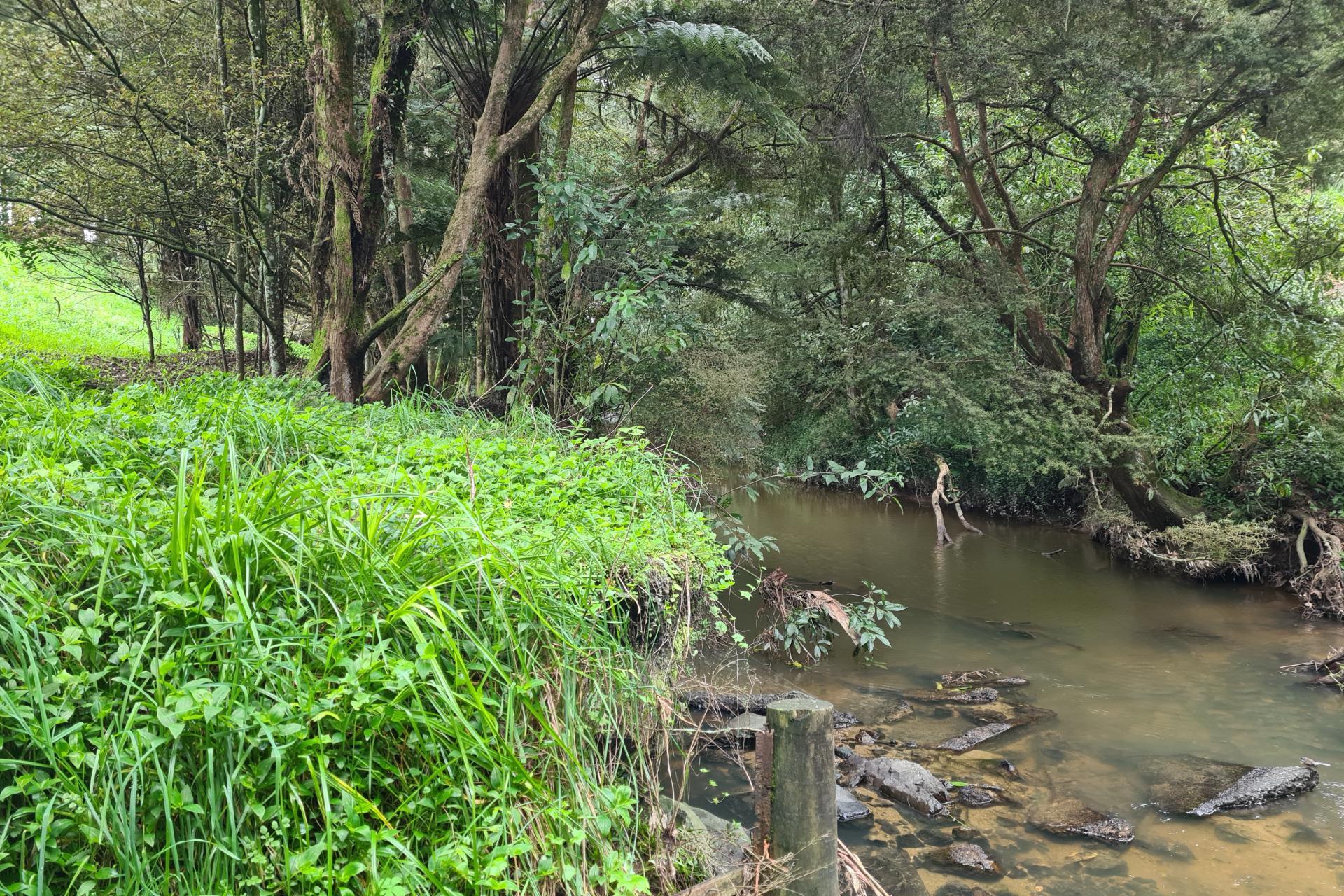 Lot 1, 675 Gorge Road, Maungaturoto