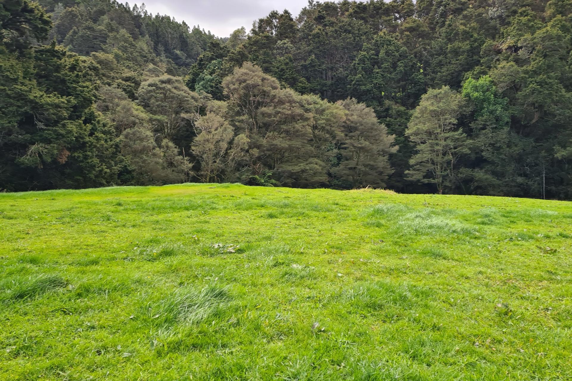 Lot 1, 675 Gorge Road, Maungaturoto