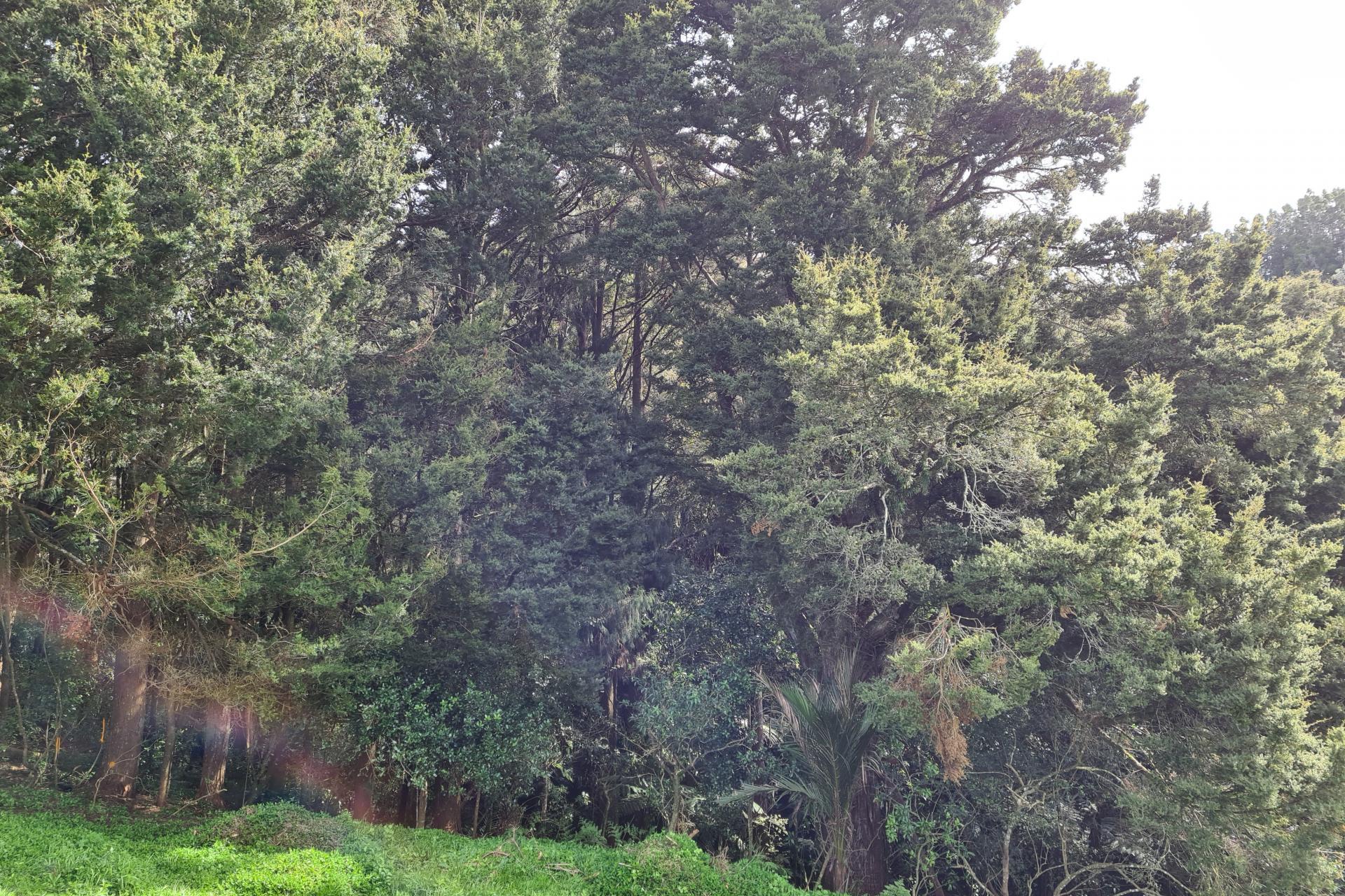 Lot 1, 675 Gorge Road, Maungaturoto