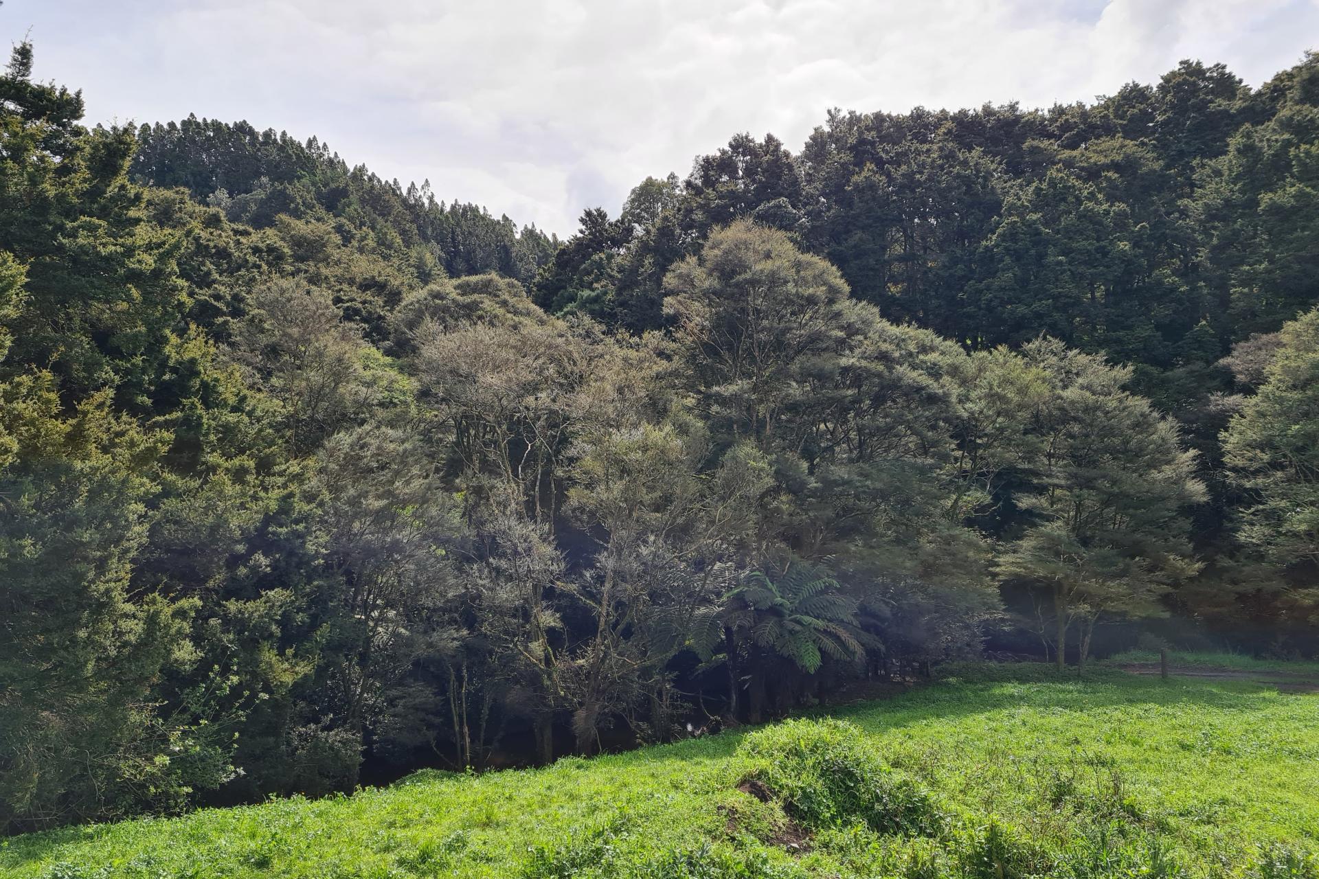 Lot 1, 675 Gorge Road, Maungaturoto