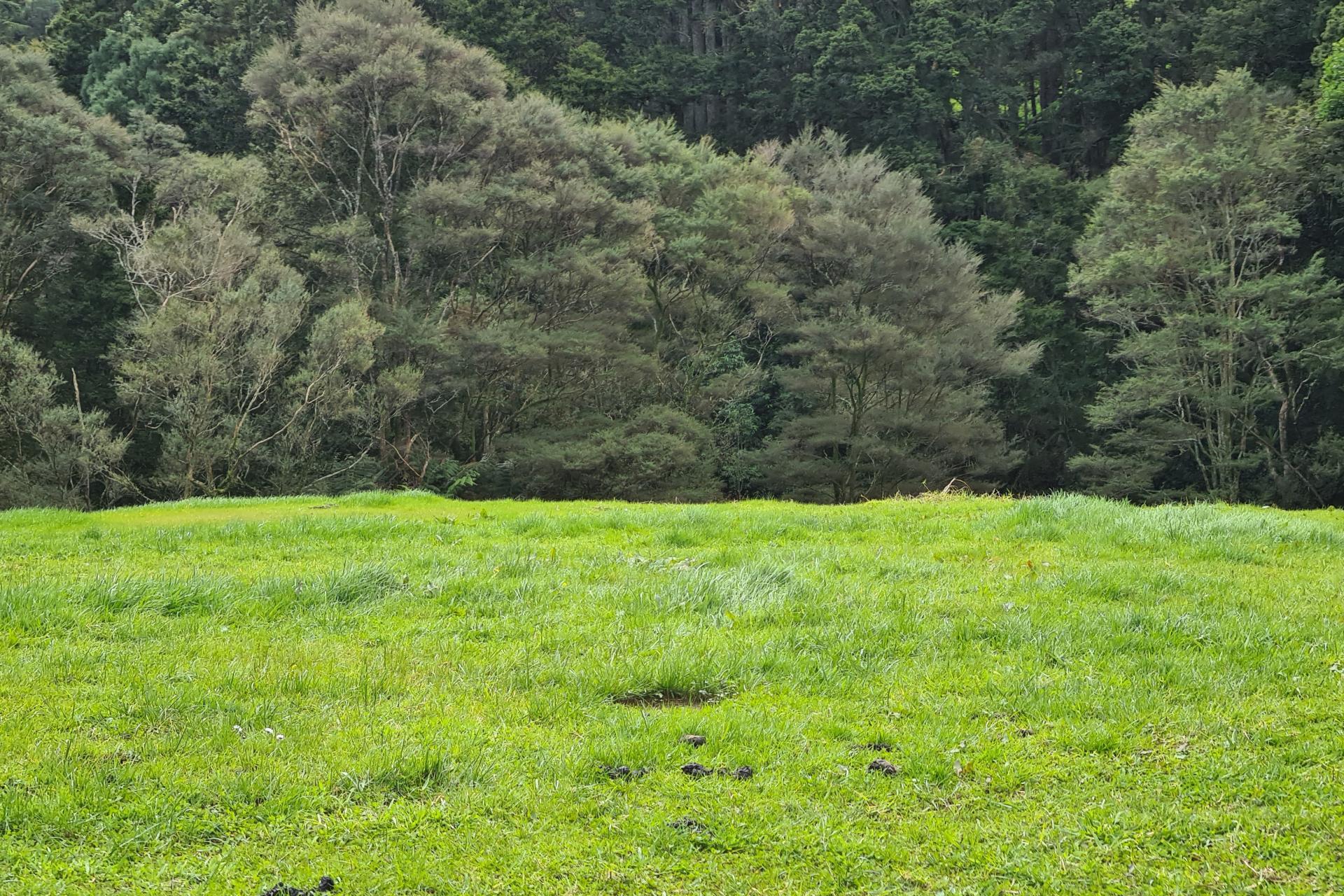 Lot 1, 675 Gorge Road, Maungaturoto