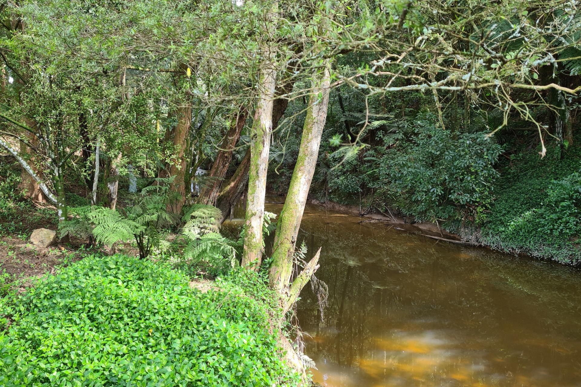 Lot 1, 675 Gorge Road, Maungaturoto