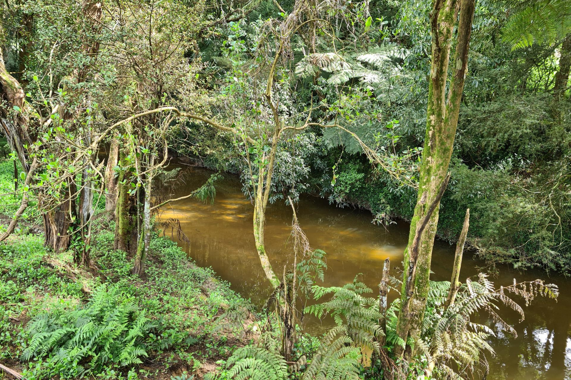 Lot 1, 675 Gorge Road, Maungaturoto