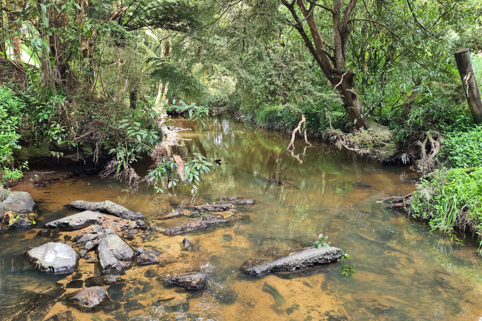 Lot 1, 675 Gorge Road, Maungaturoto