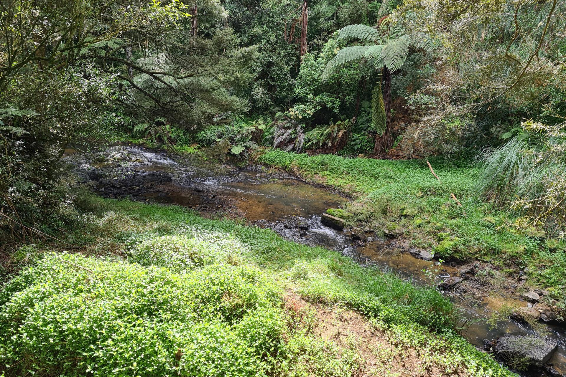 Lot 1, 675 Gorge Road, Maungaturoto
