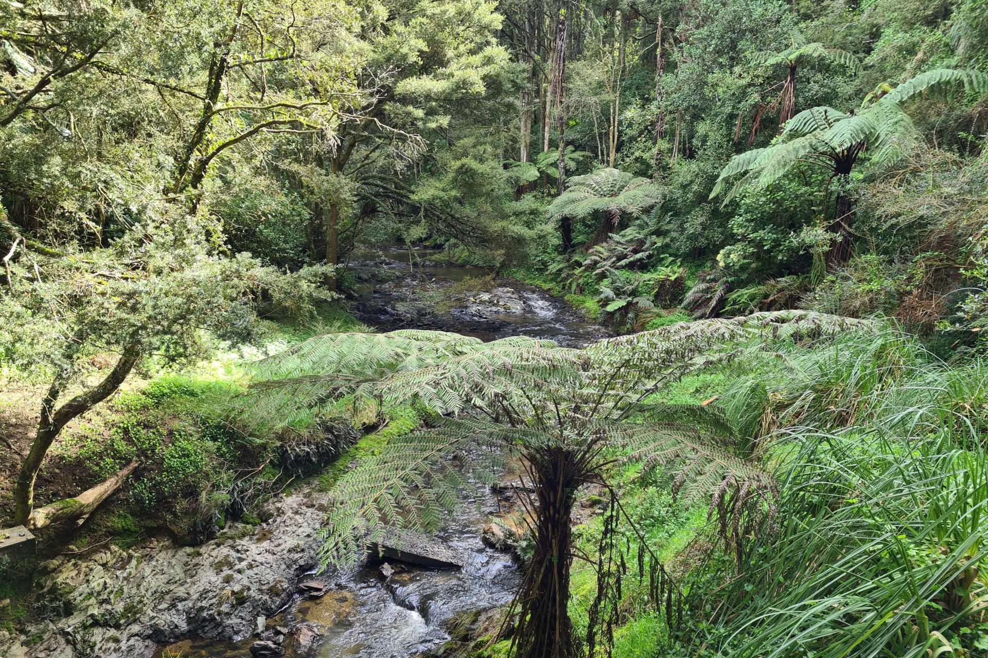 Lot 1, 675 Gorge Road, Maungaturoto