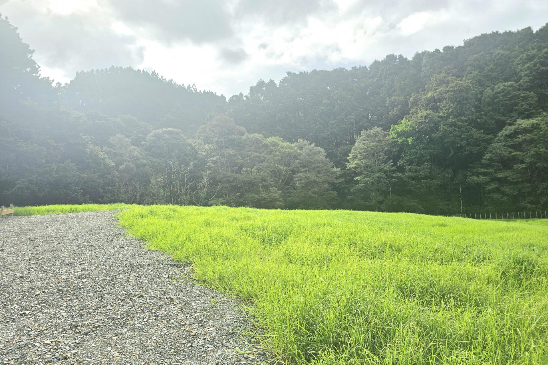 Lot 1, 675 Gorge Road, Maungaturoto
